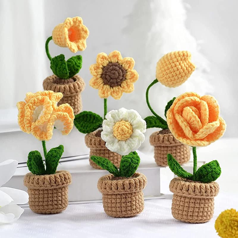 IMCrafty Cactus Love Potted Crochet Kit –