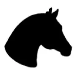 Horses Head