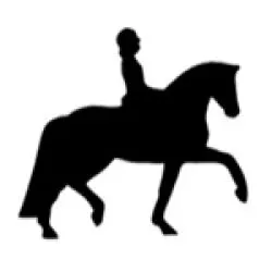 Trotting Horse