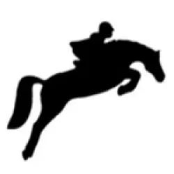 Jumping Horse