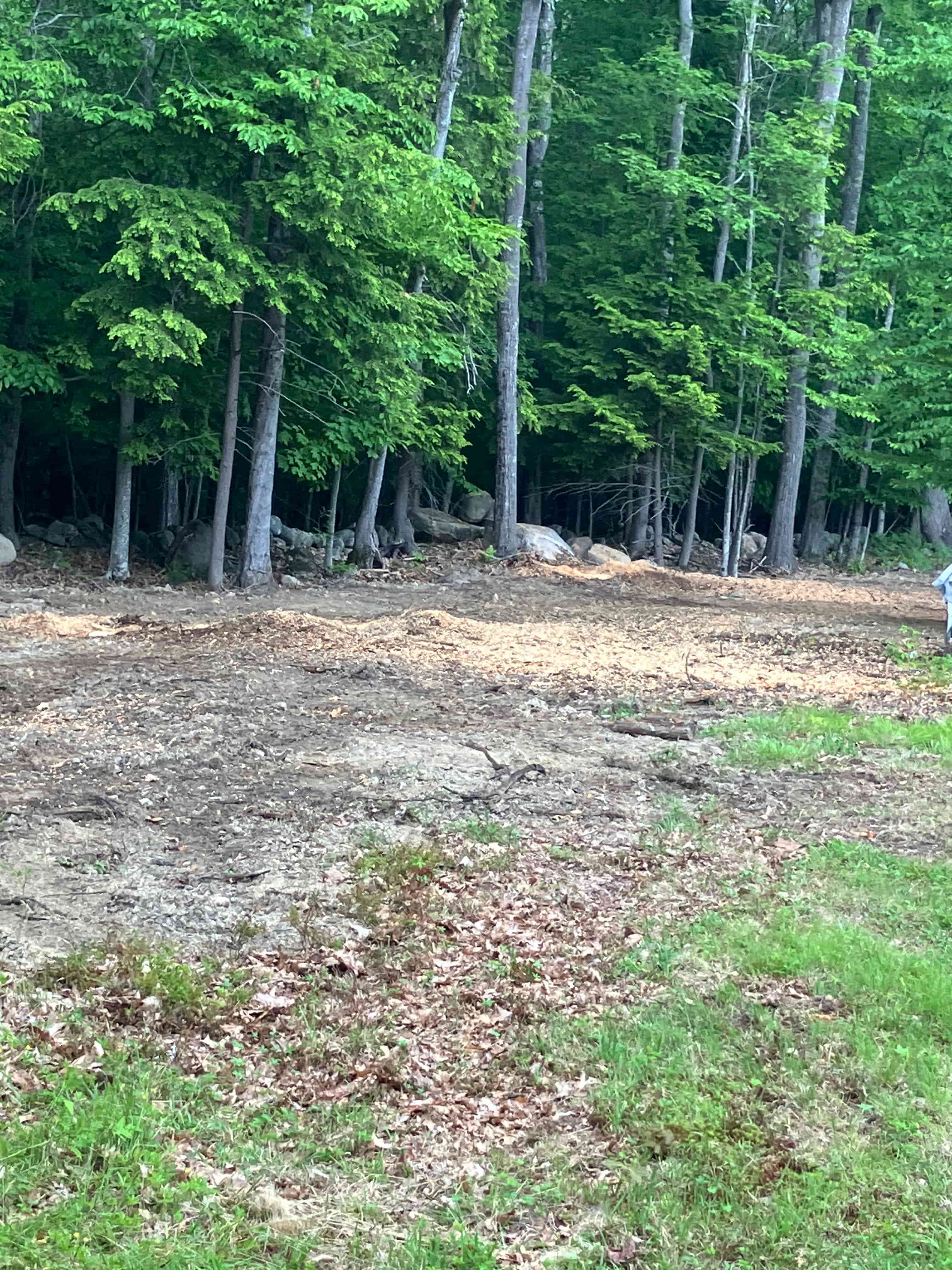 Carla Ruiz review image