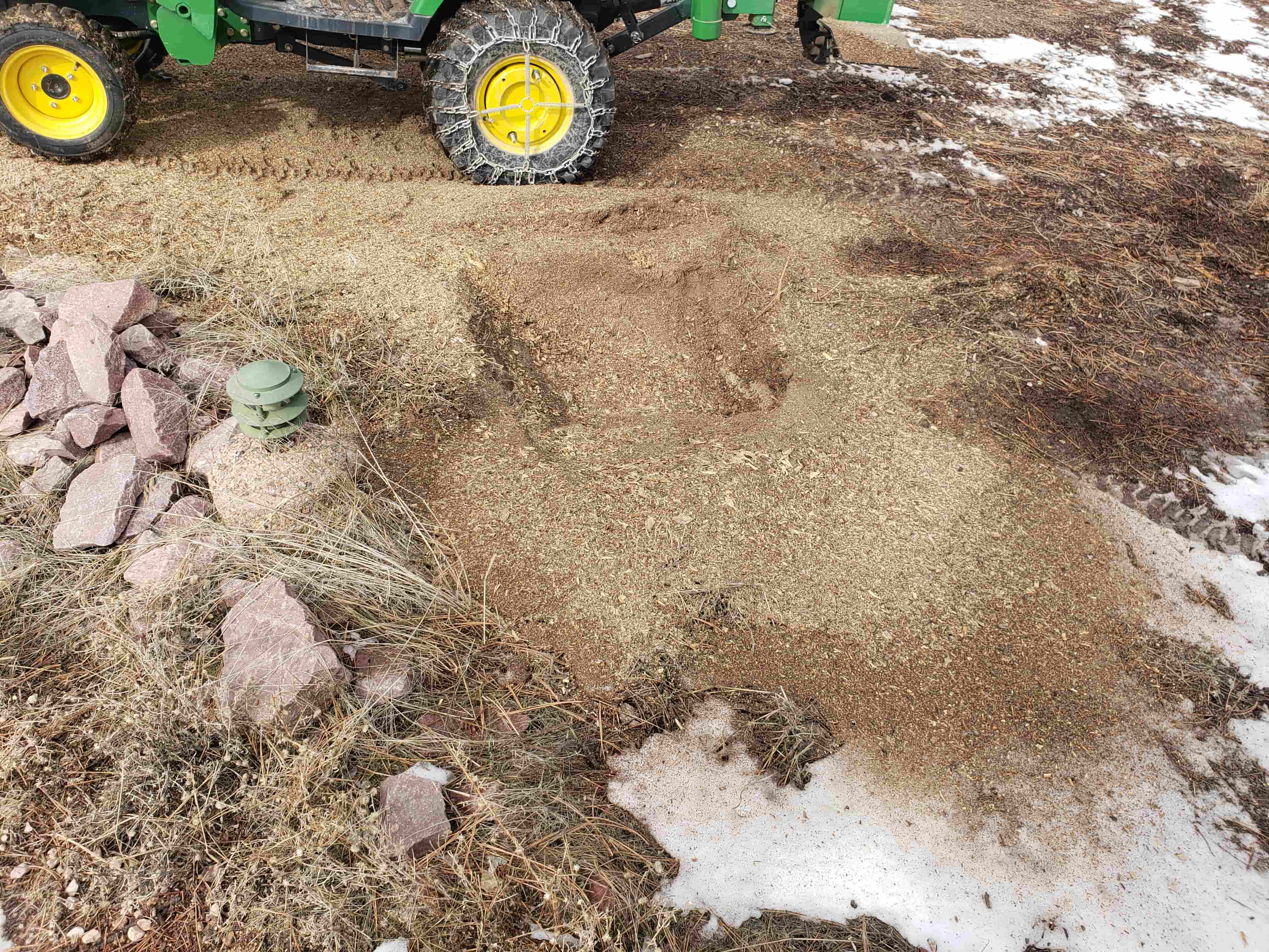 Sophie Tran review image