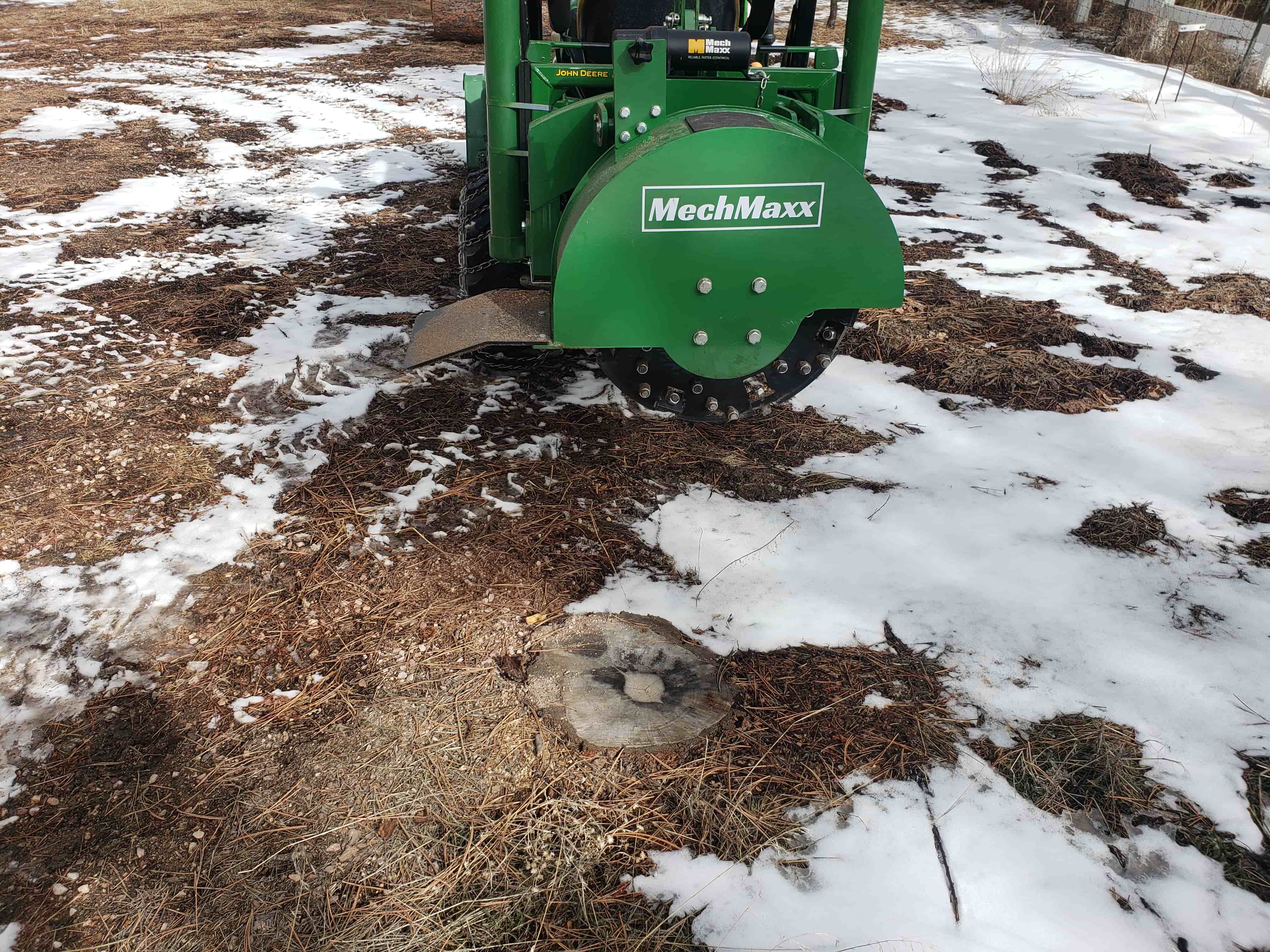 Tricia Fox review image