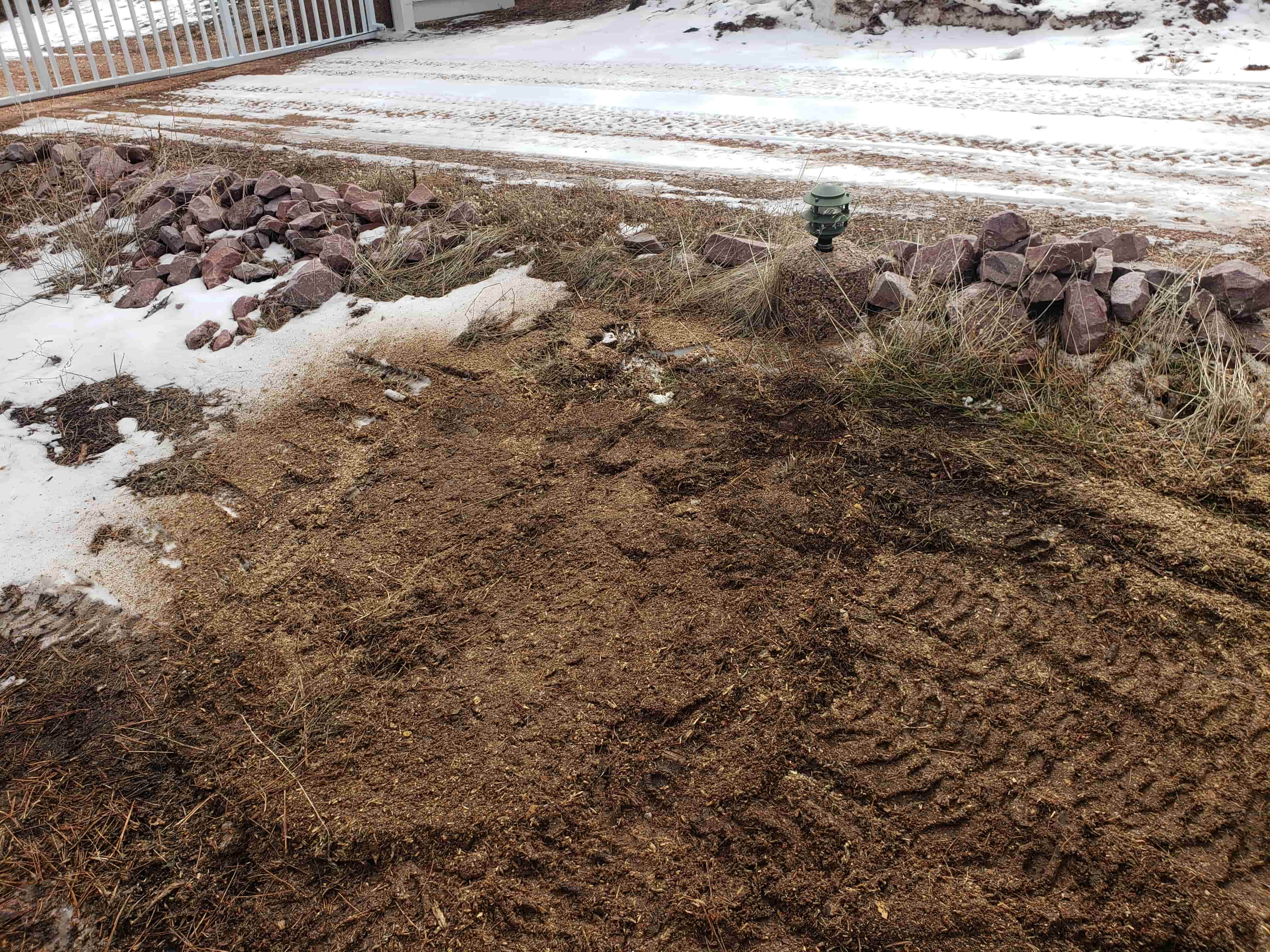 Maria Ortega review image