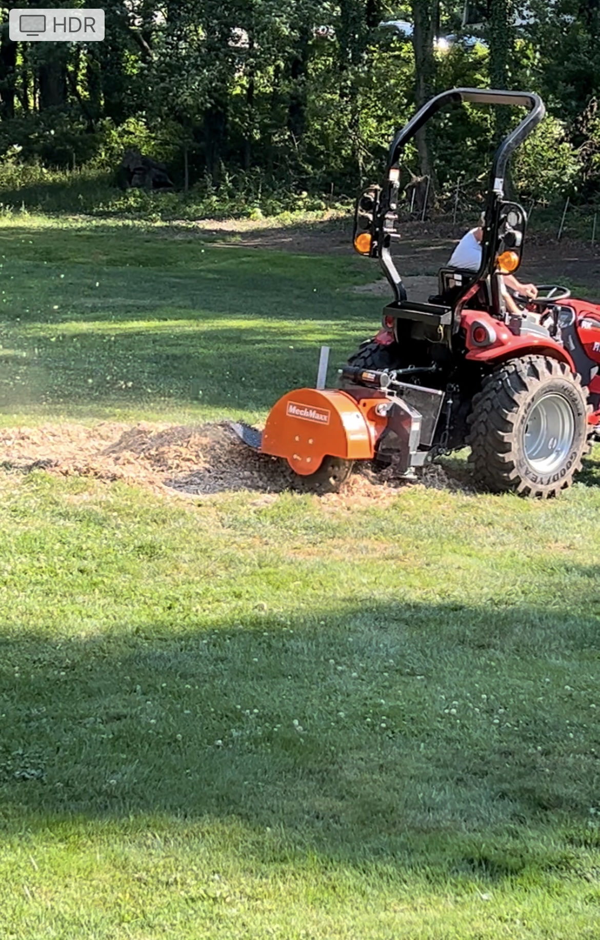 Tasha Blake review image