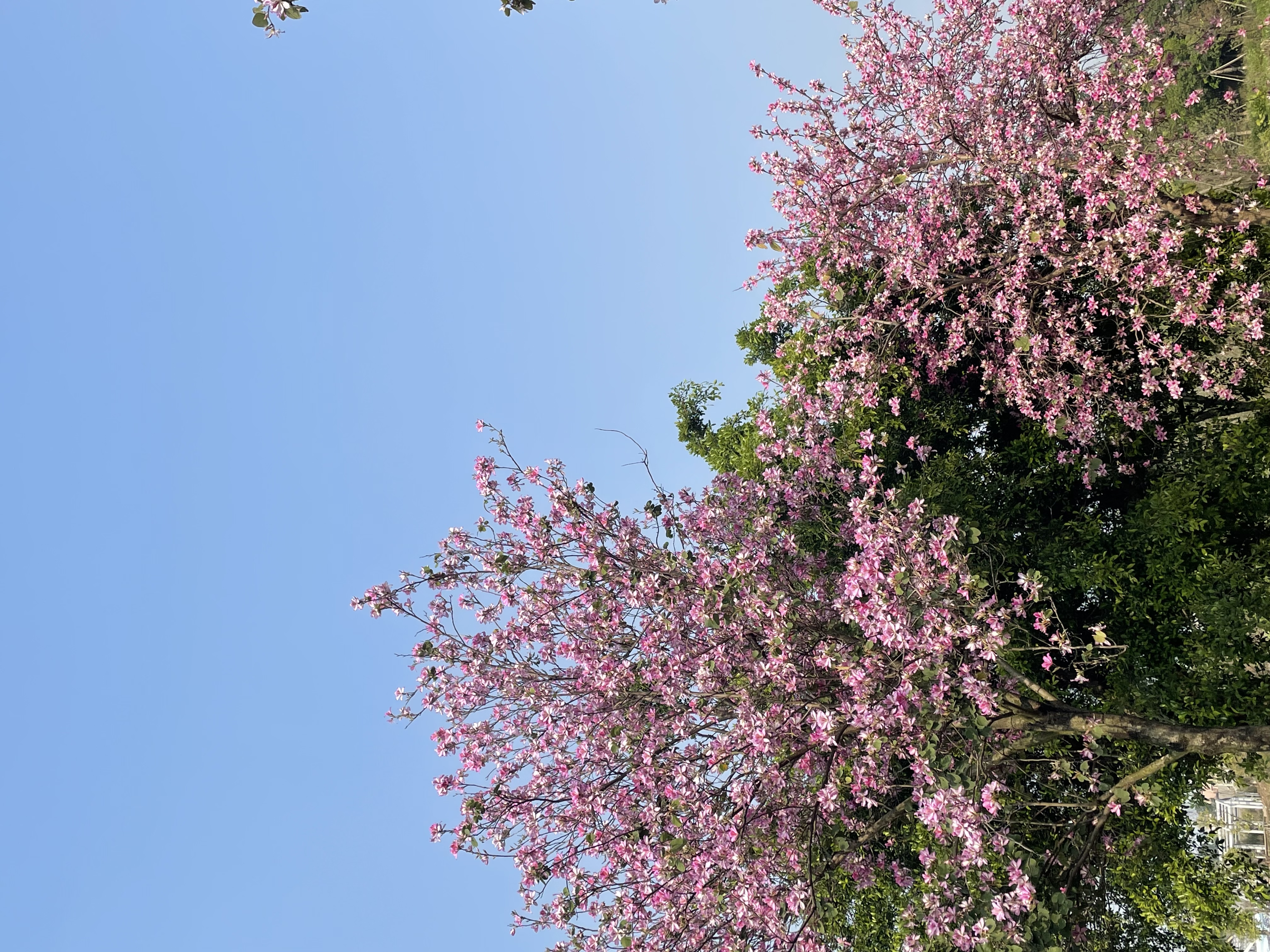 [Copy]-8-勿删-大大大商品-极端商品-500sku-%^&8990004457890#$$%^&*@#%%^&&*())(**&^%$!@#$%^&*()#$%^&*(($%^&*()$%^&*(#$%^&*()#$%^&*()Plaid Printed Splicing Car Heart T-Shirt Valentine's Day women fashion pure cotton casual lover gift young hipster tees art tops