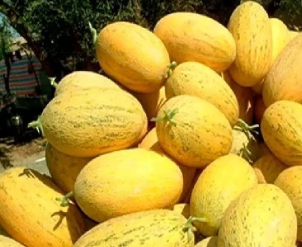 不支持在线销售商品