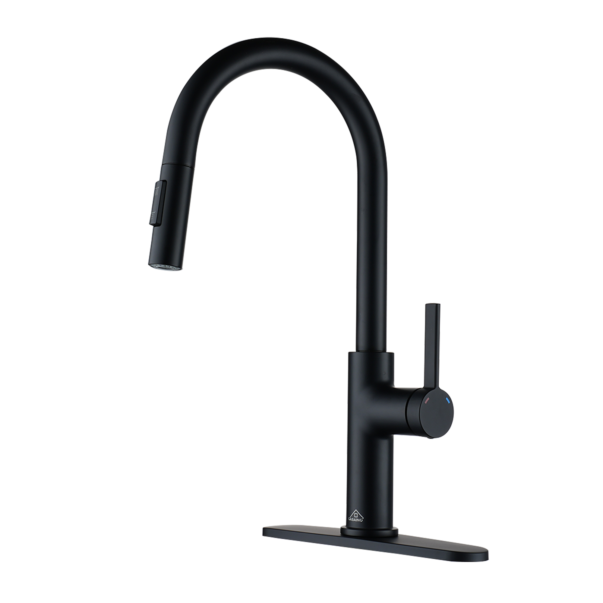 Casainc Single-Handle Kitchen Faucet with Pull-Out Sprayer