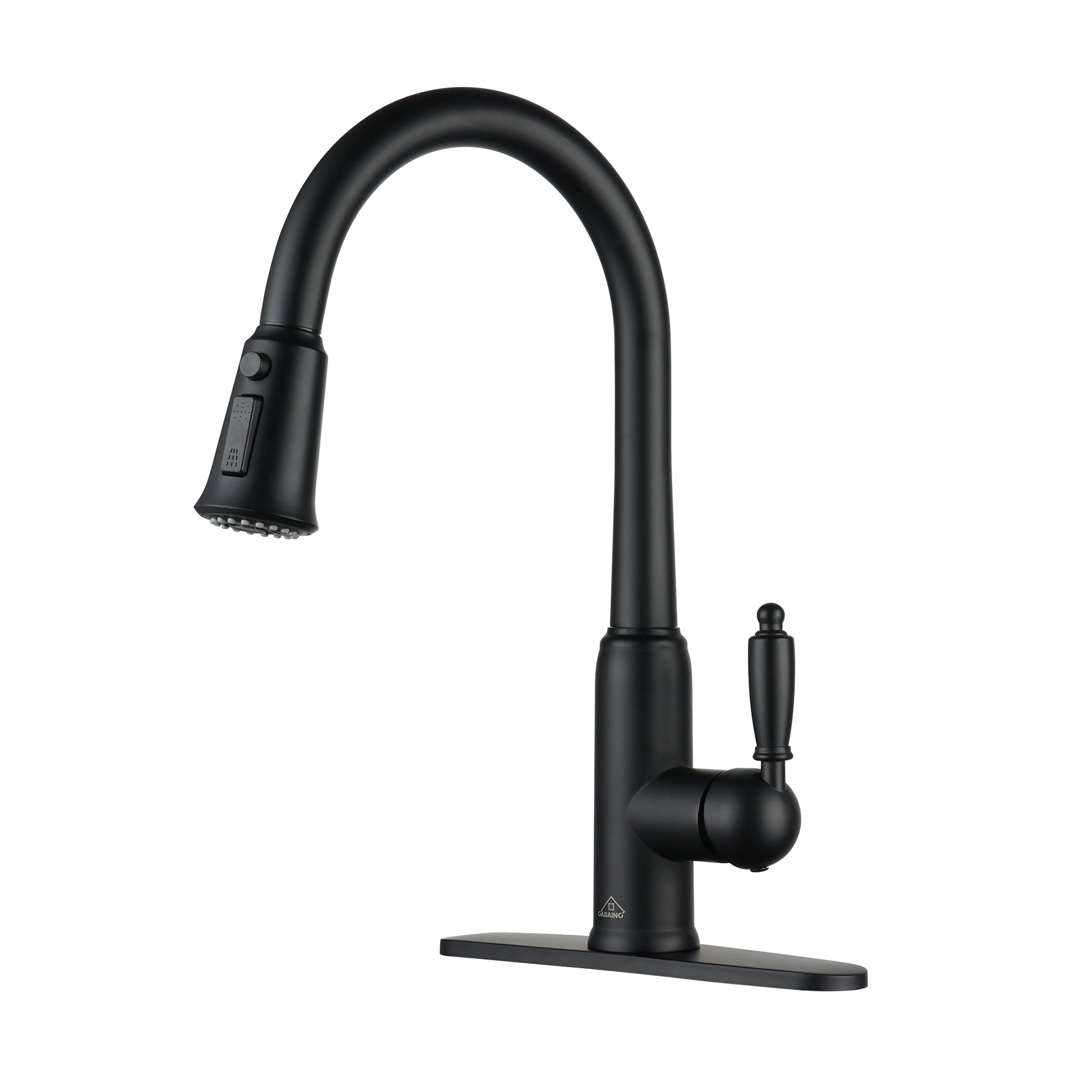 Casainc Single-Handle Kitchen Faucet with  Pull-Out Sprayer