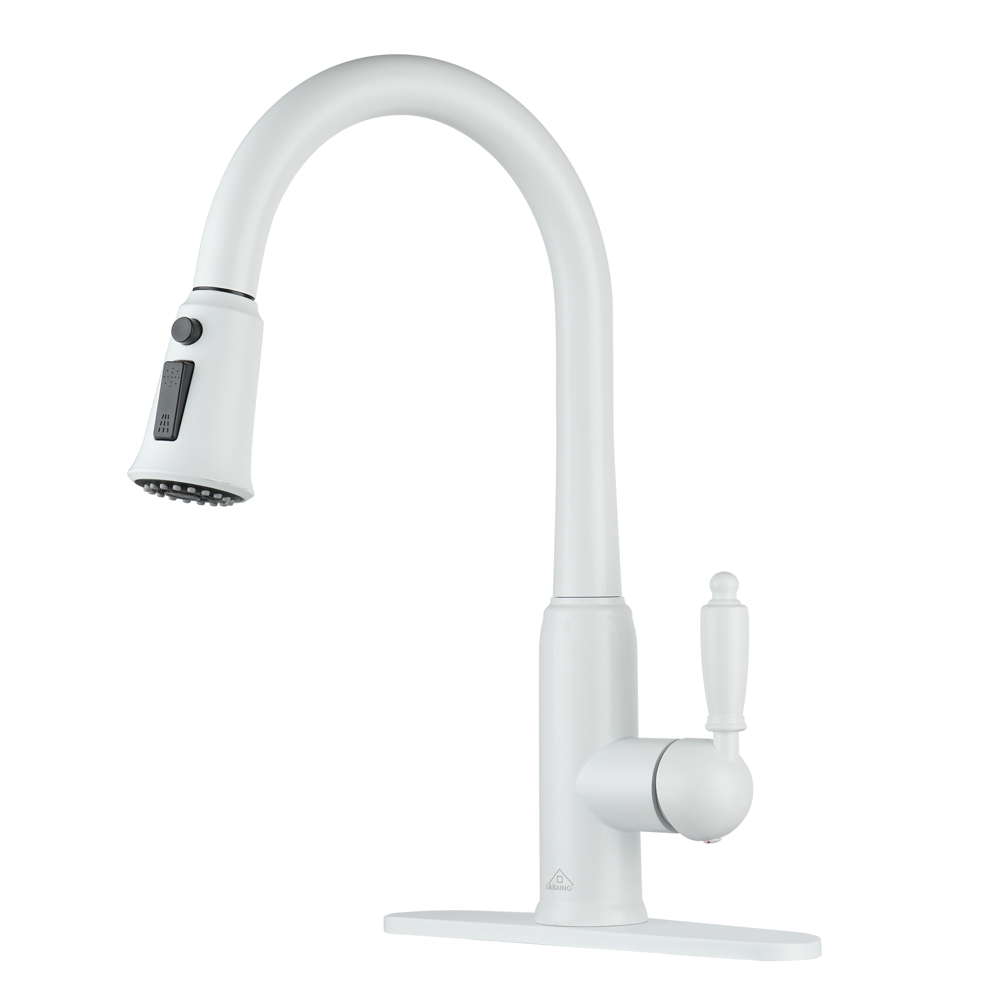 Casainc Single-Handle Kitchen Faucet with  Pull-Out Sprayer