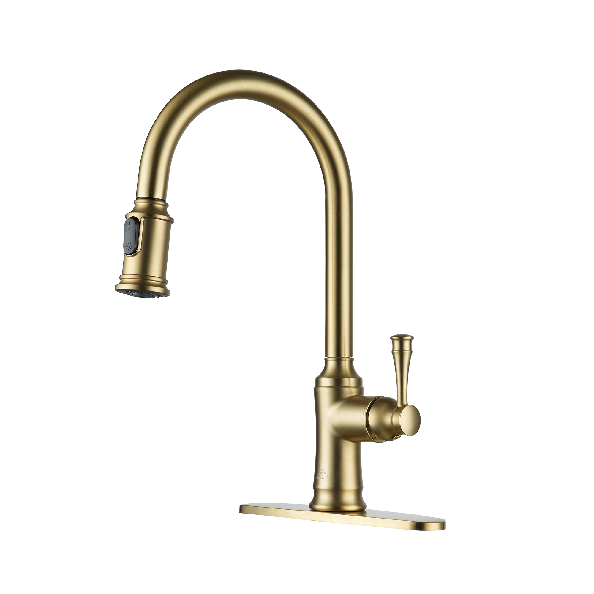 CASAINC Single-Handle Kitchen Faucet with  Pull-Out Sprayer