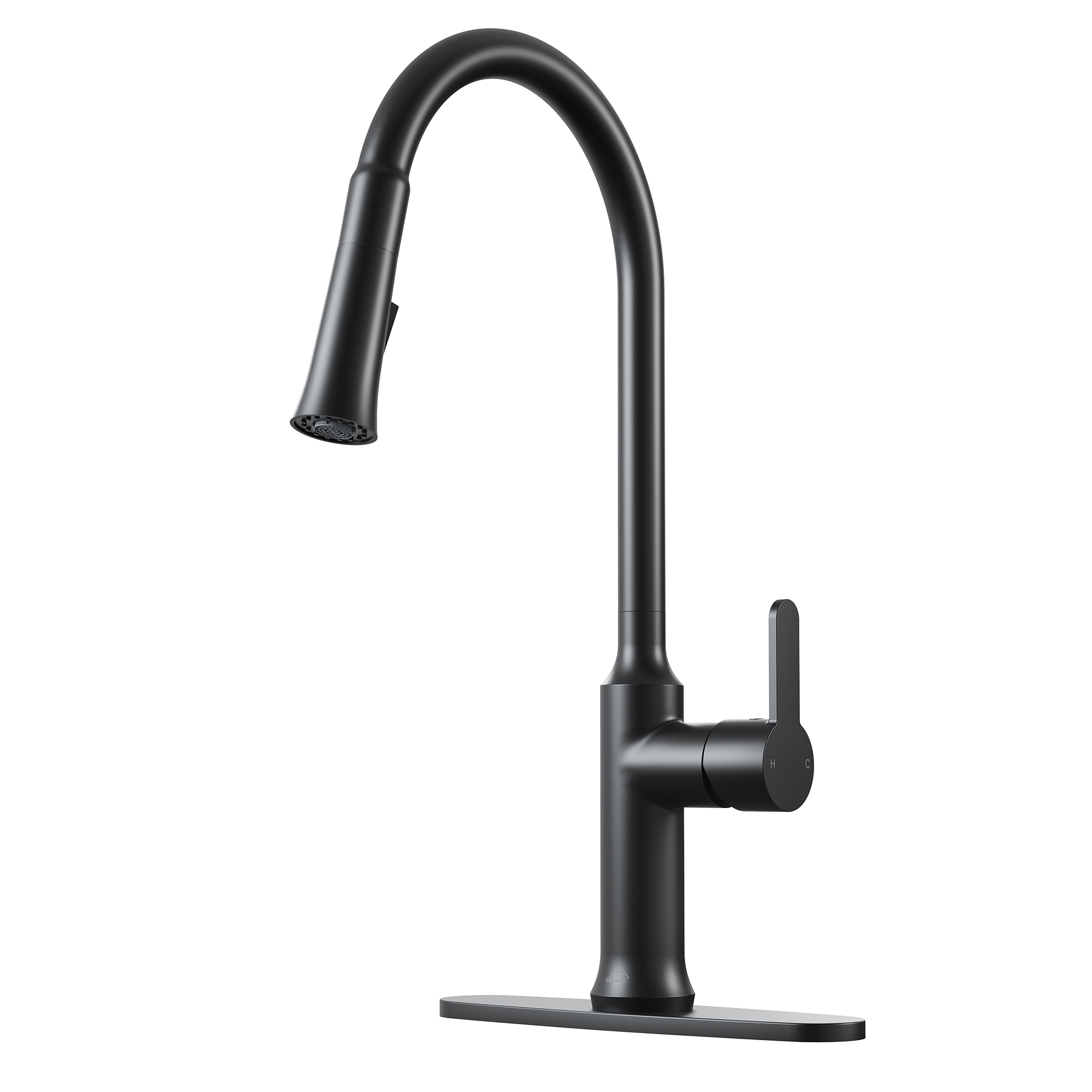 CASAINC Single-Handle Kitchen Faucet with  Pull-Out Sprayer