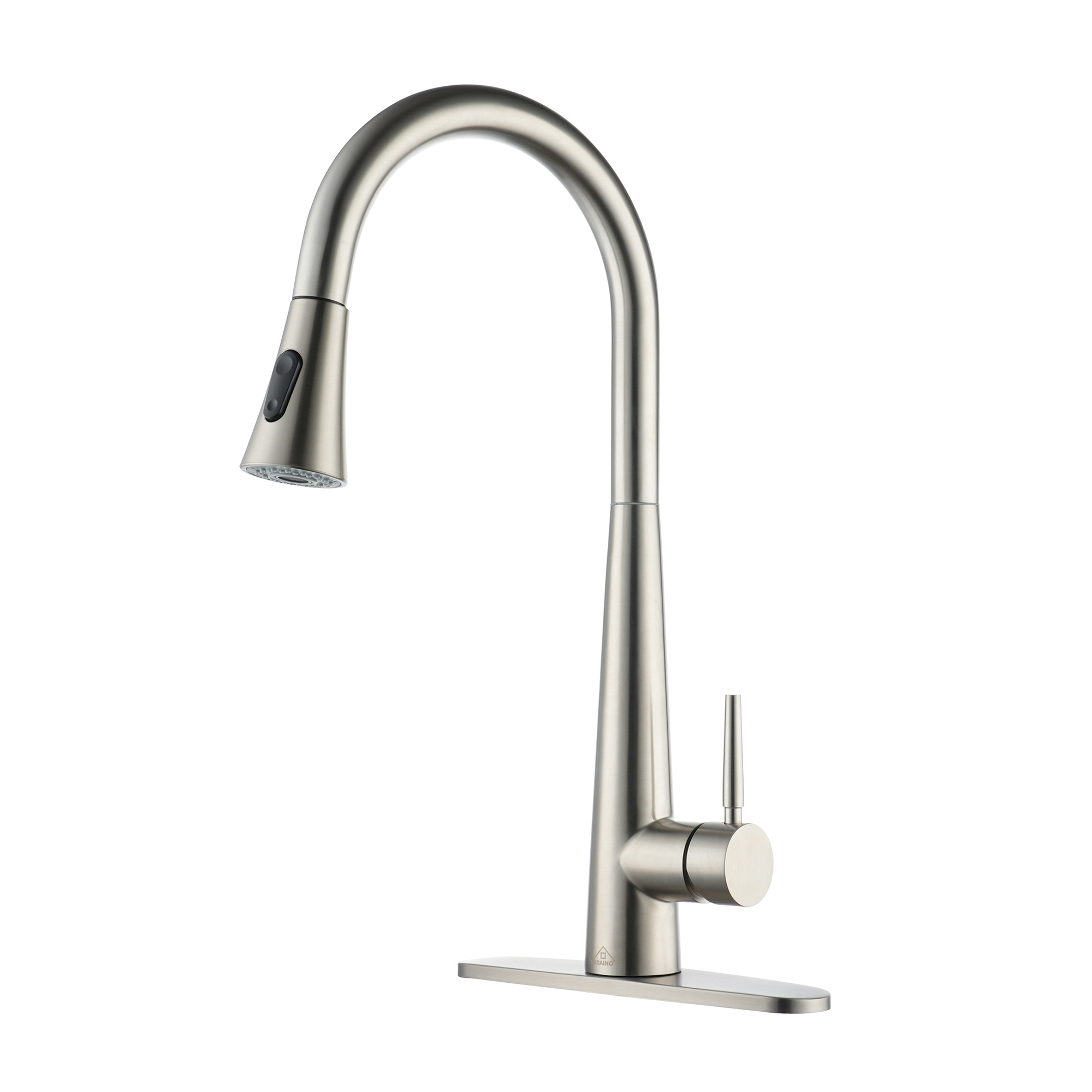 CASAINC Single-Handle Kitchen Faucet with  Pull Down Sprayer