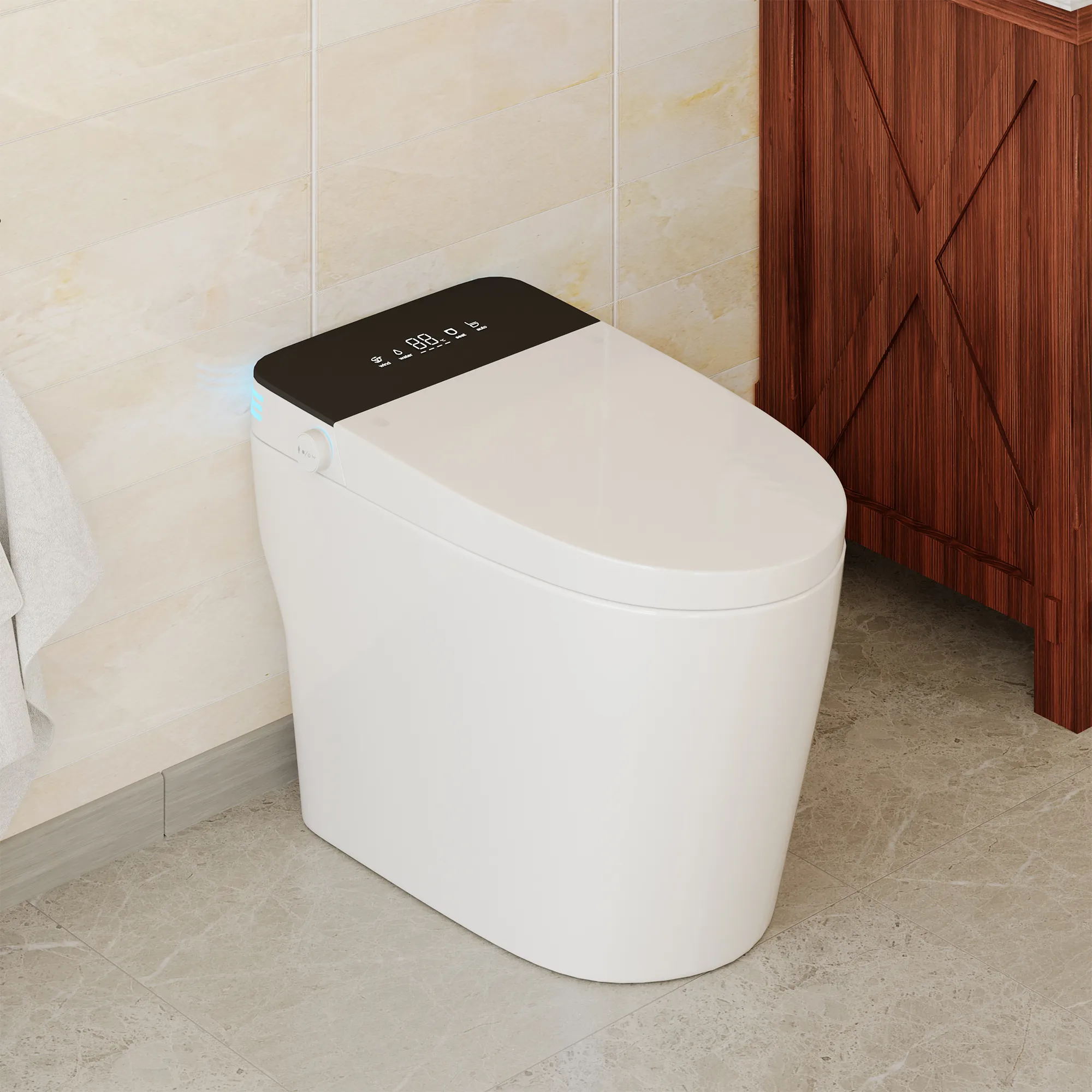 Dual-Flush Smart Toilets