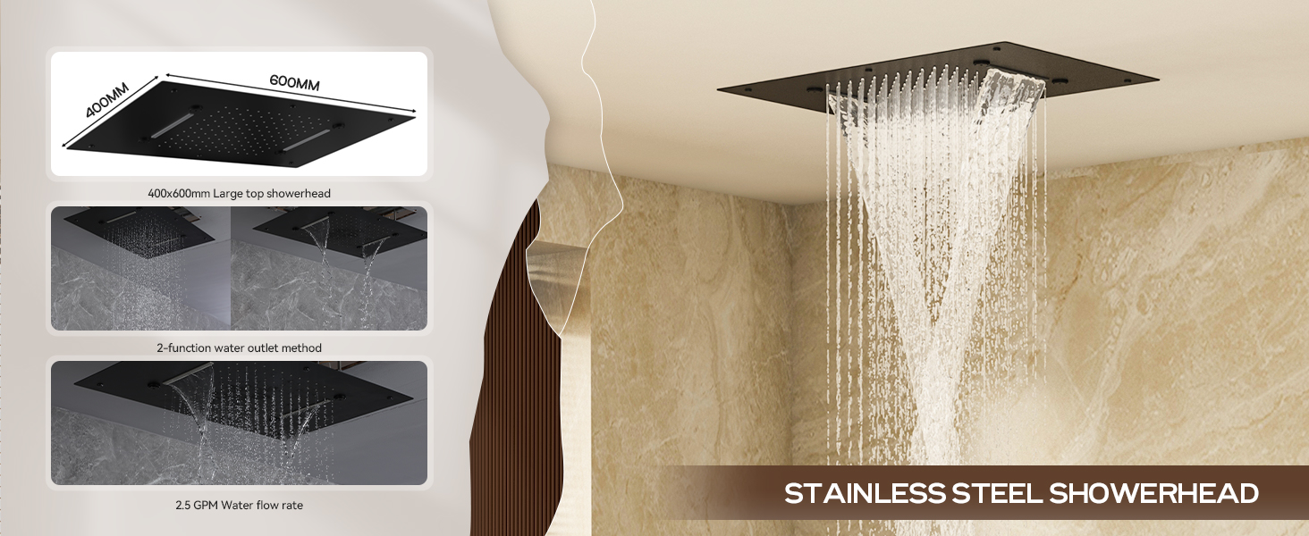 2-Function Large Shower Head System