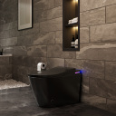 Black (without Digital Display)