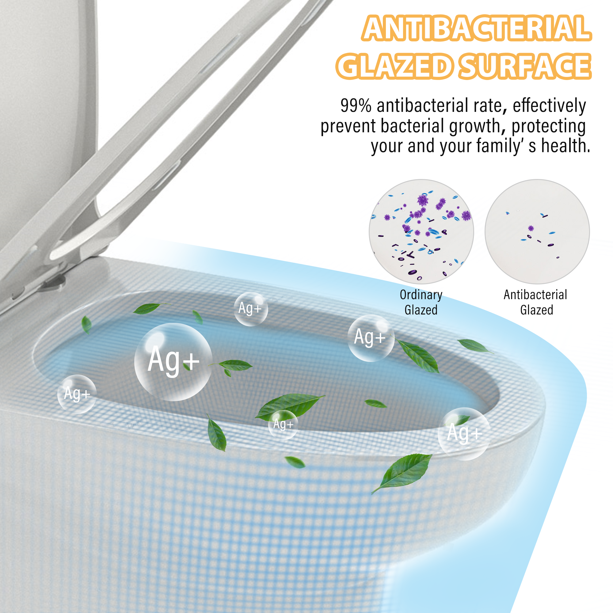 Dual Flush One-Piece Toilet 1.6/1.1 GPF with Soft Closing Seat