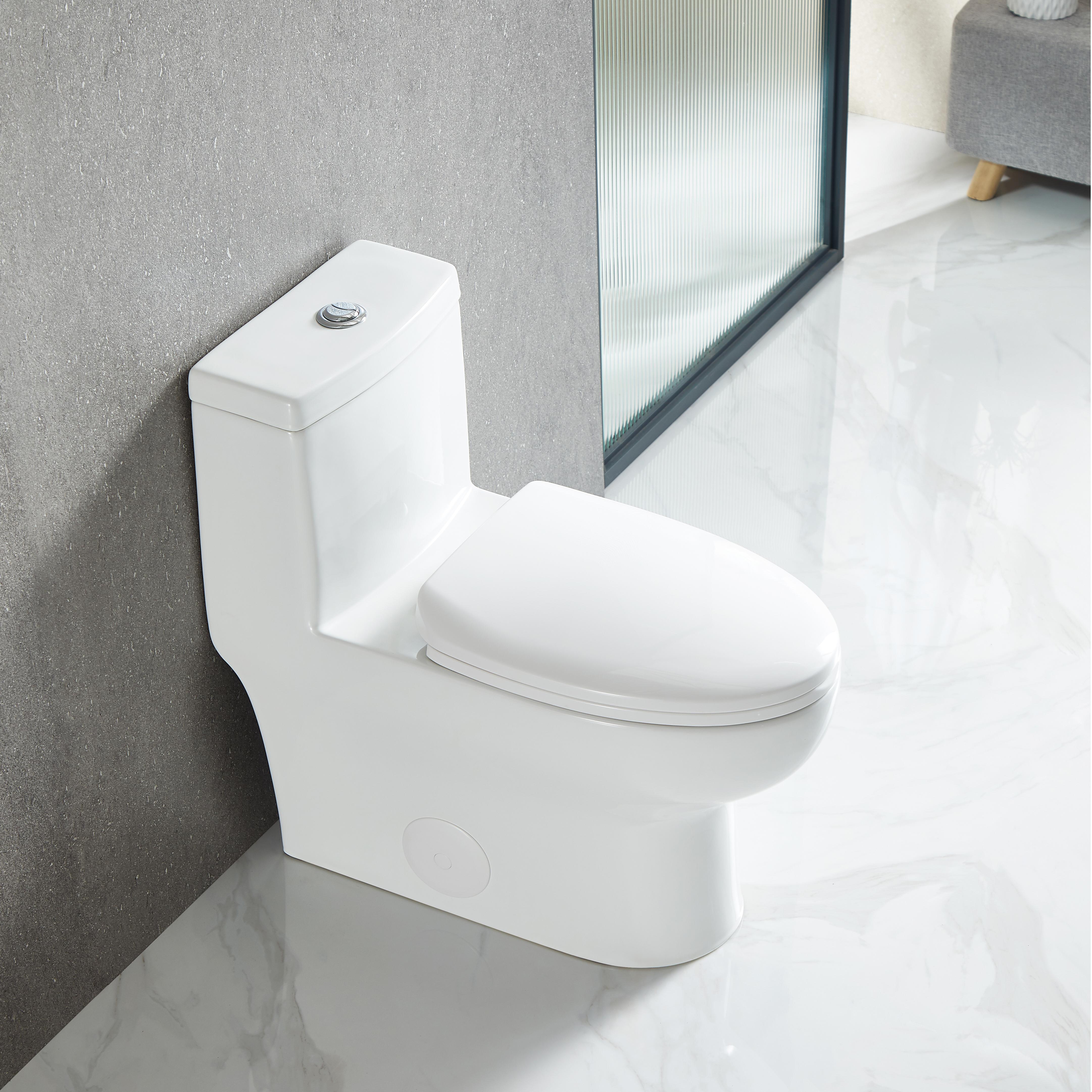 White One-Piece Toilet with Siphonic Flushing System