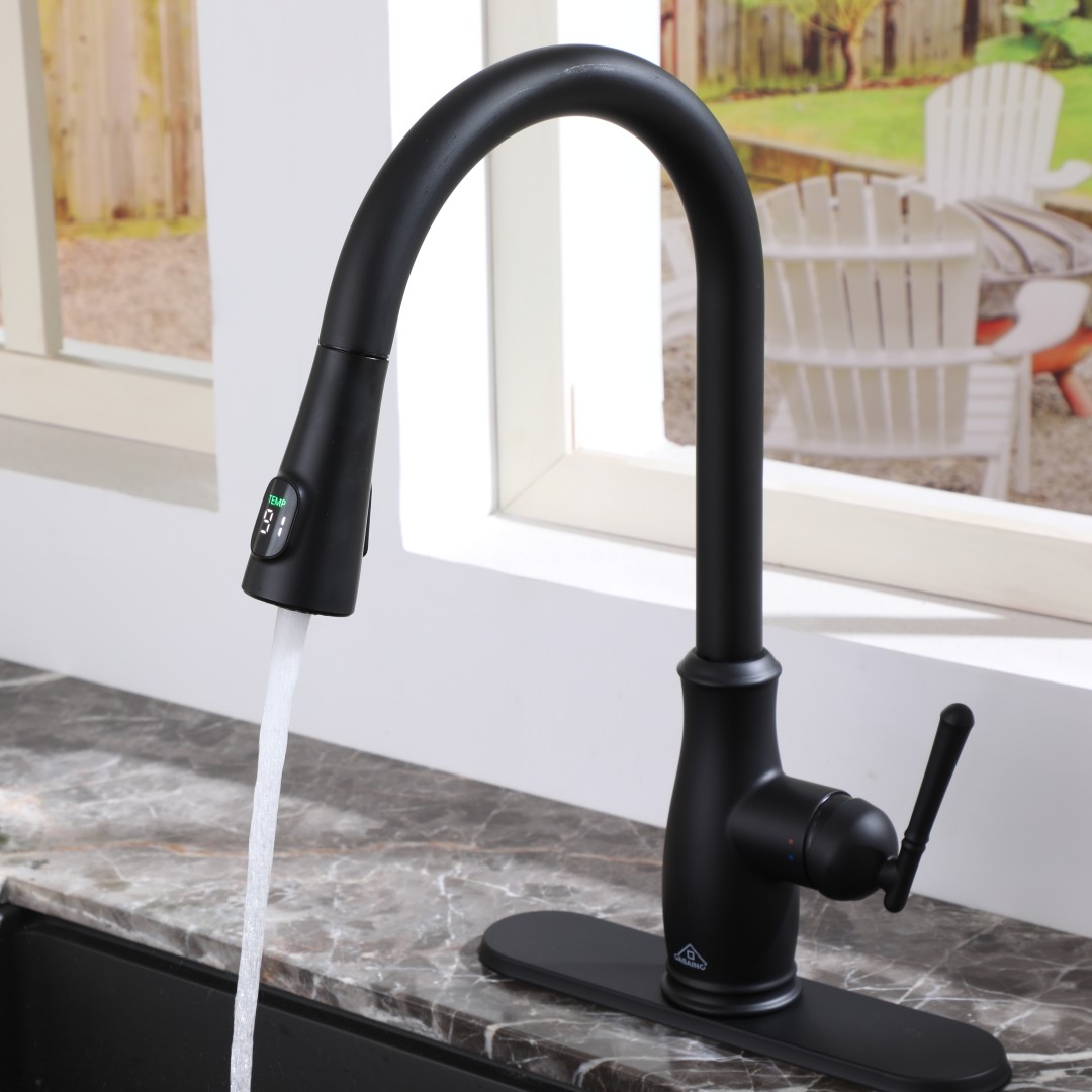 Temperature Display Kitchen Faucet
