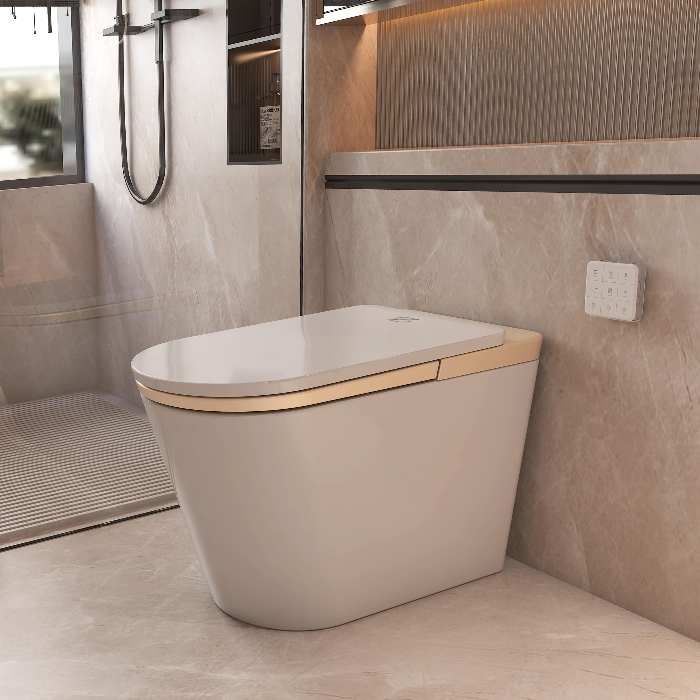 Luxury Smart Bidet Toilet with Heated Seat and Auto Flush, White, Gold, or Silver Seat Cover
