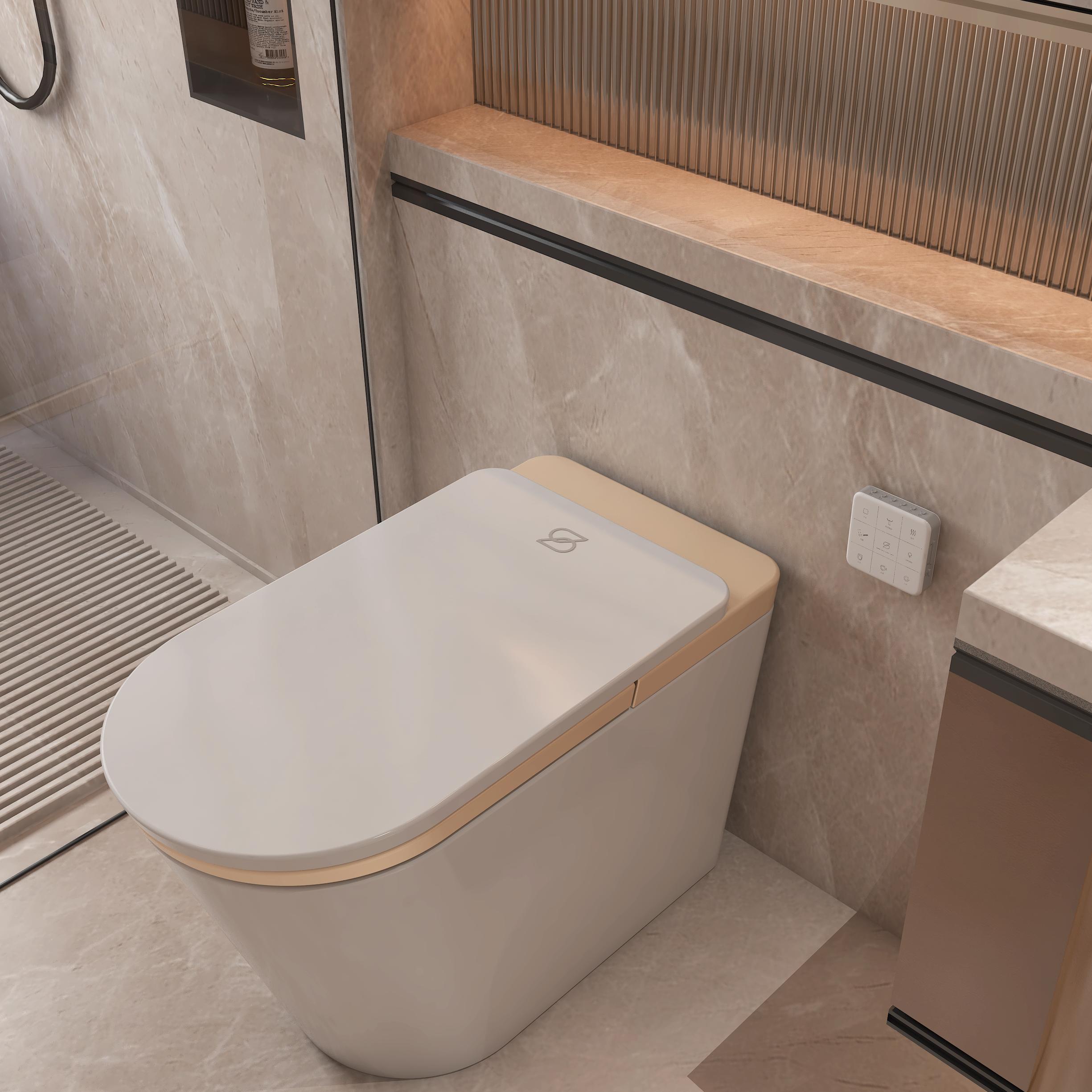 Luxury Smart Bidet Toilet with Heated Seat and Auto Flush, White, Gold, or Silver Seat Cover