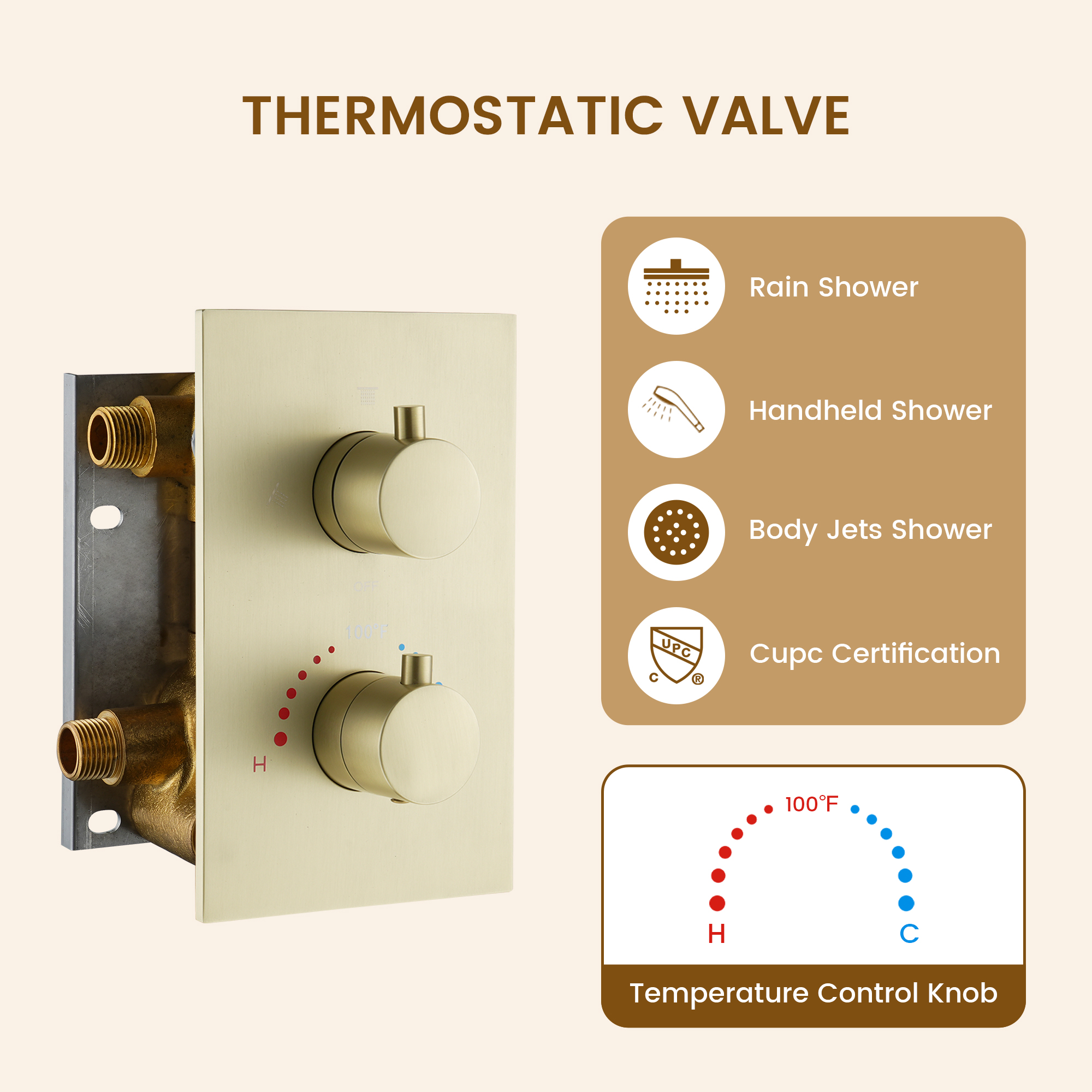 8-inch Ceiling-Mounted Thermostatic Shower System with Body Jets