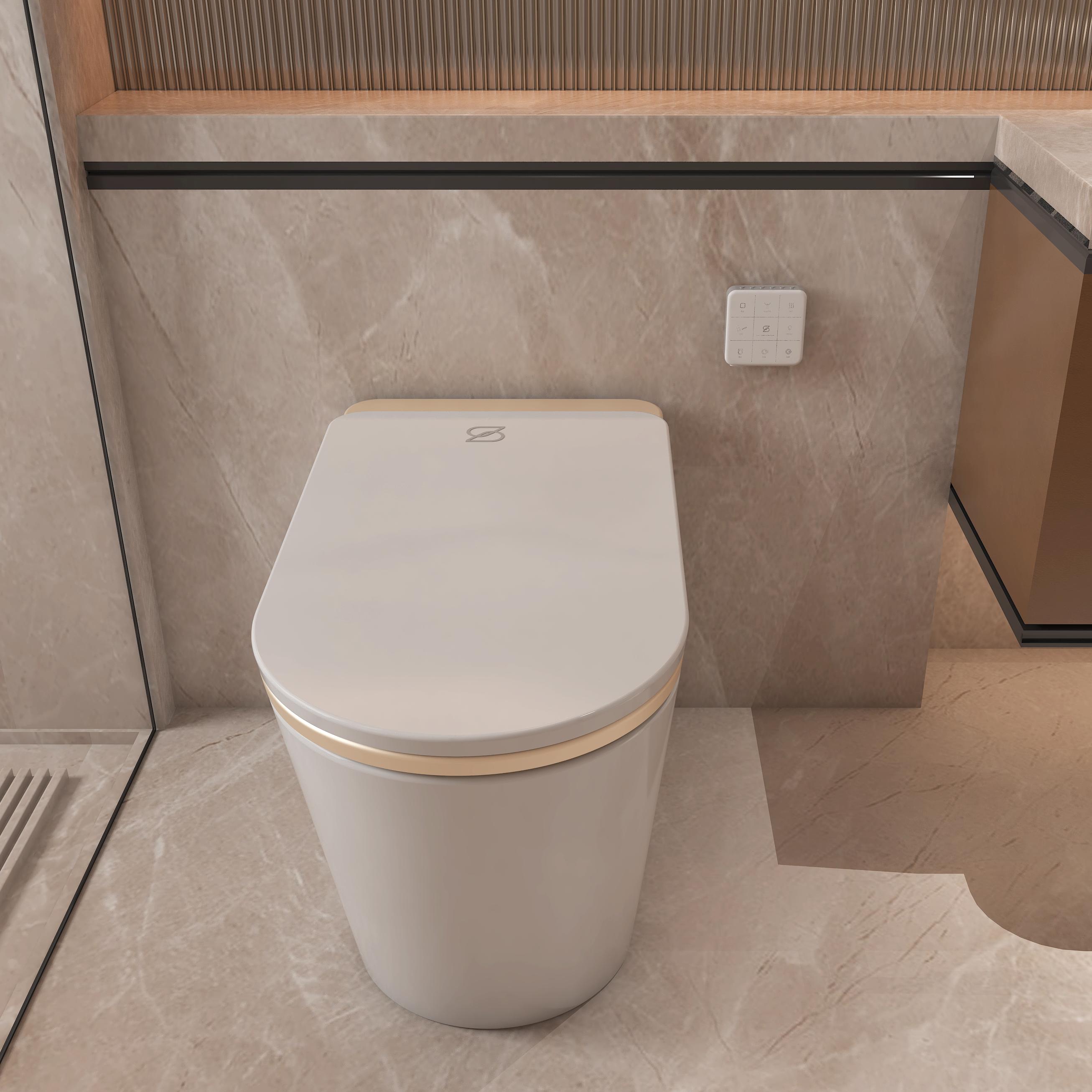 Luxury Smart Bidet Toilet with Heated Seat and Auto Flush, White, Gold, or Silver Seat Cover