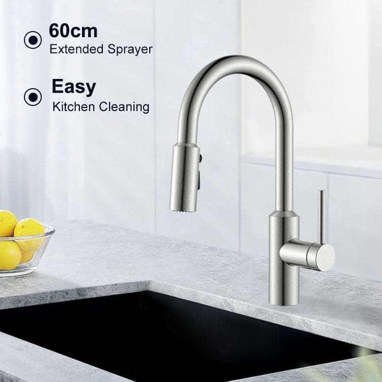 Modern Pull-Down Kitchen Faucet with Retractable Spray Head