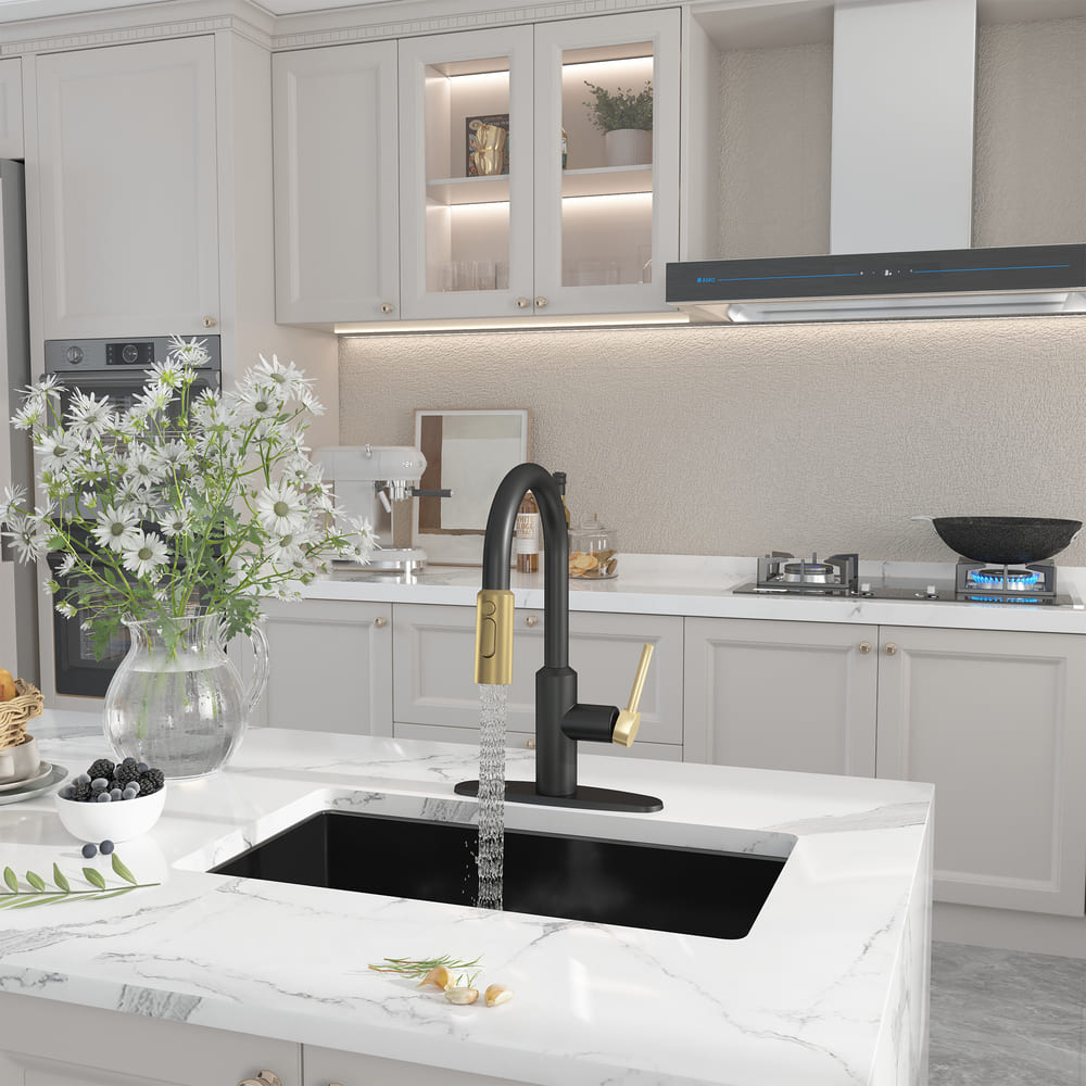 Modern Pull-Down Kitchen Faucet with Retractable Spray Head