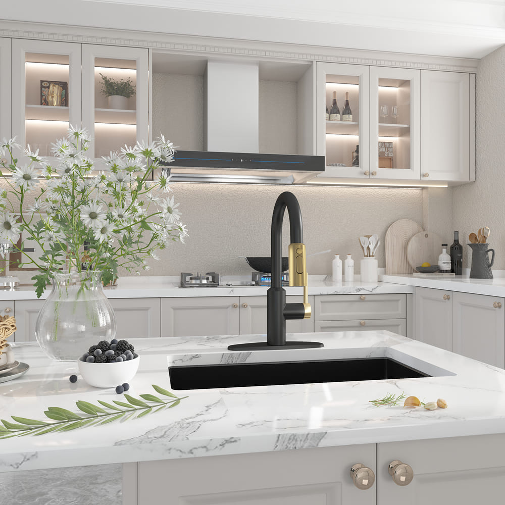 Modern Pull-Down Kitchen Faucet with Retractable Spray Head