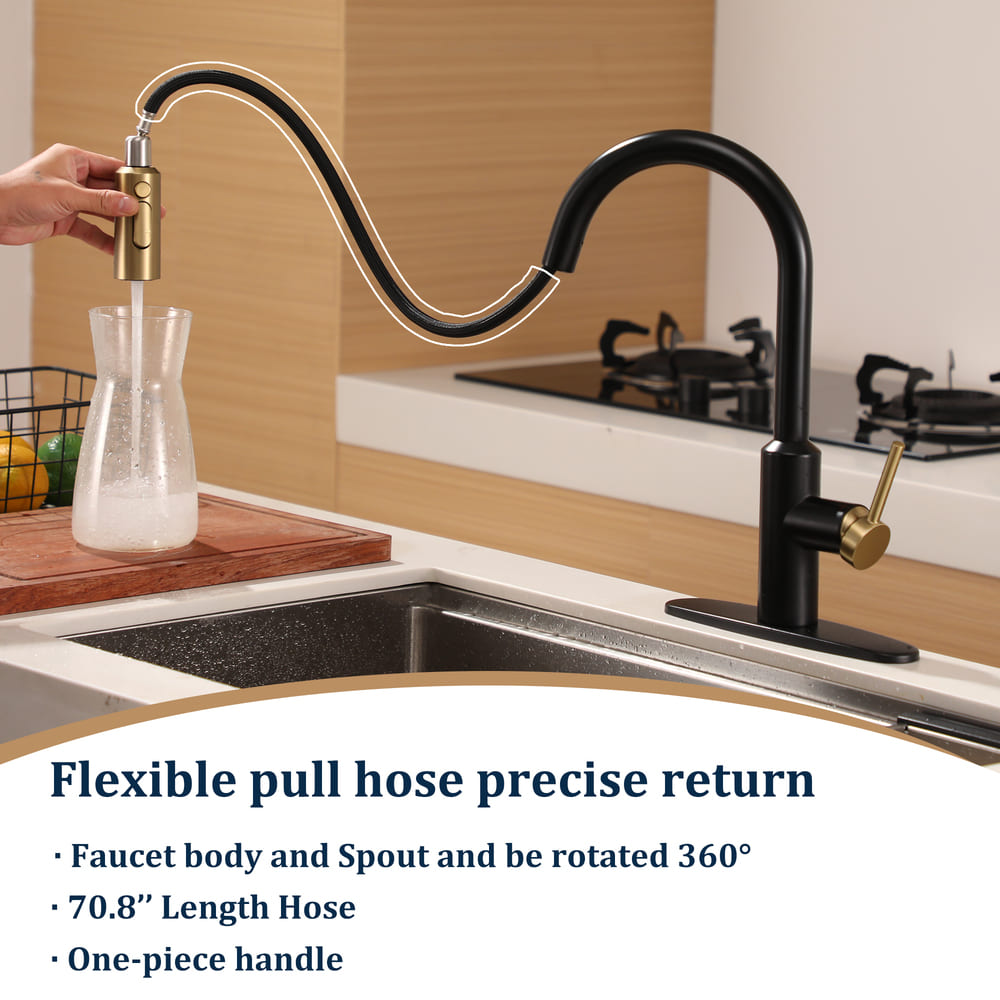 Modern Pull-Down Kitchen Faucet with Retractable Spray Head