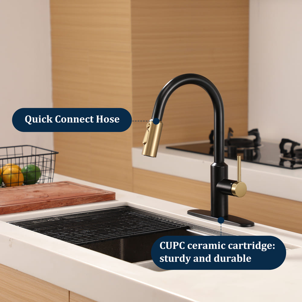 Modern Pull-Down Kitchen Faucet with Retractable Spray Head