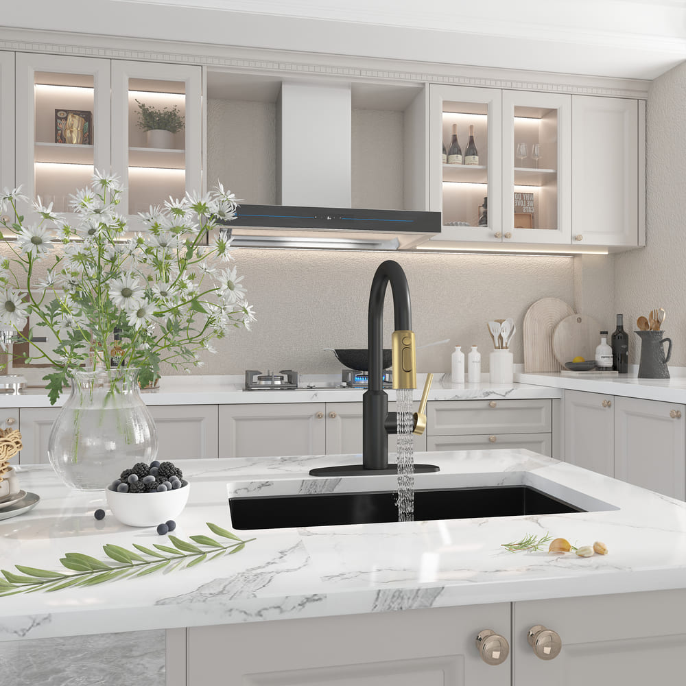 Modern Pull-Down Kitchen Faucet with Retractable Spray Head