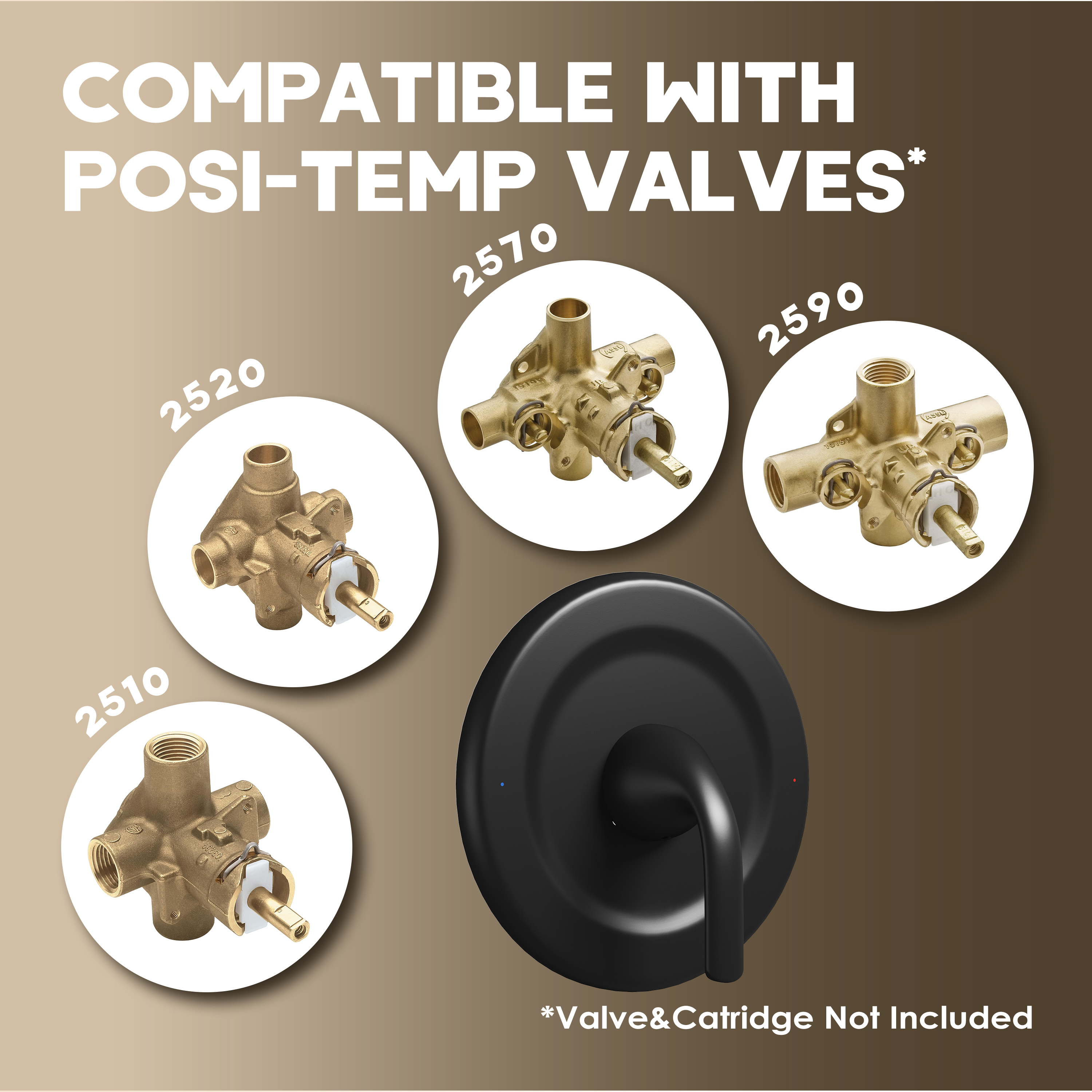 Moen-Compatible Shower Trim Kit Stainless Steel Shower Panel & Alloy Lever