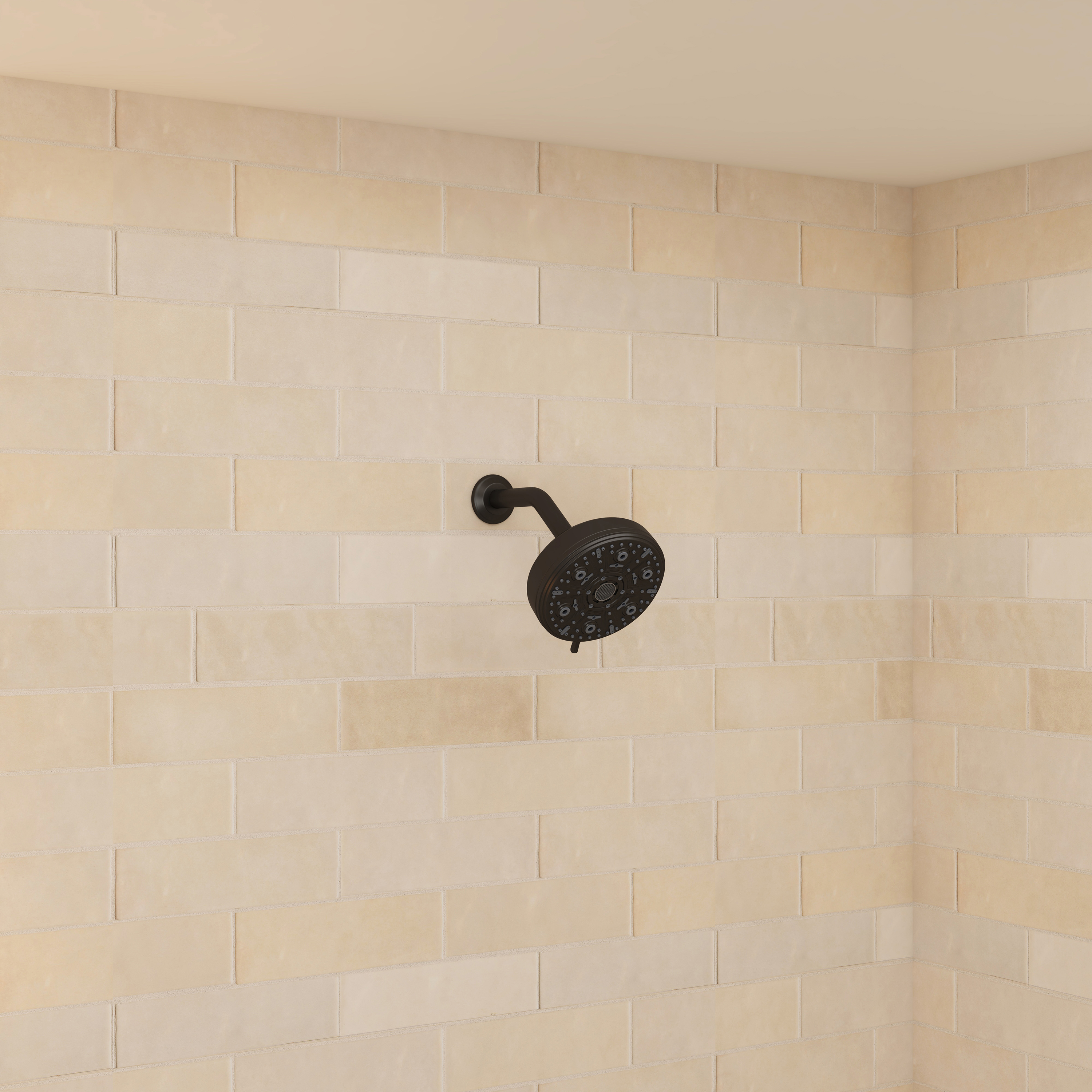 5-inch 10-Function Replacement Shower Head with Arm & Flange