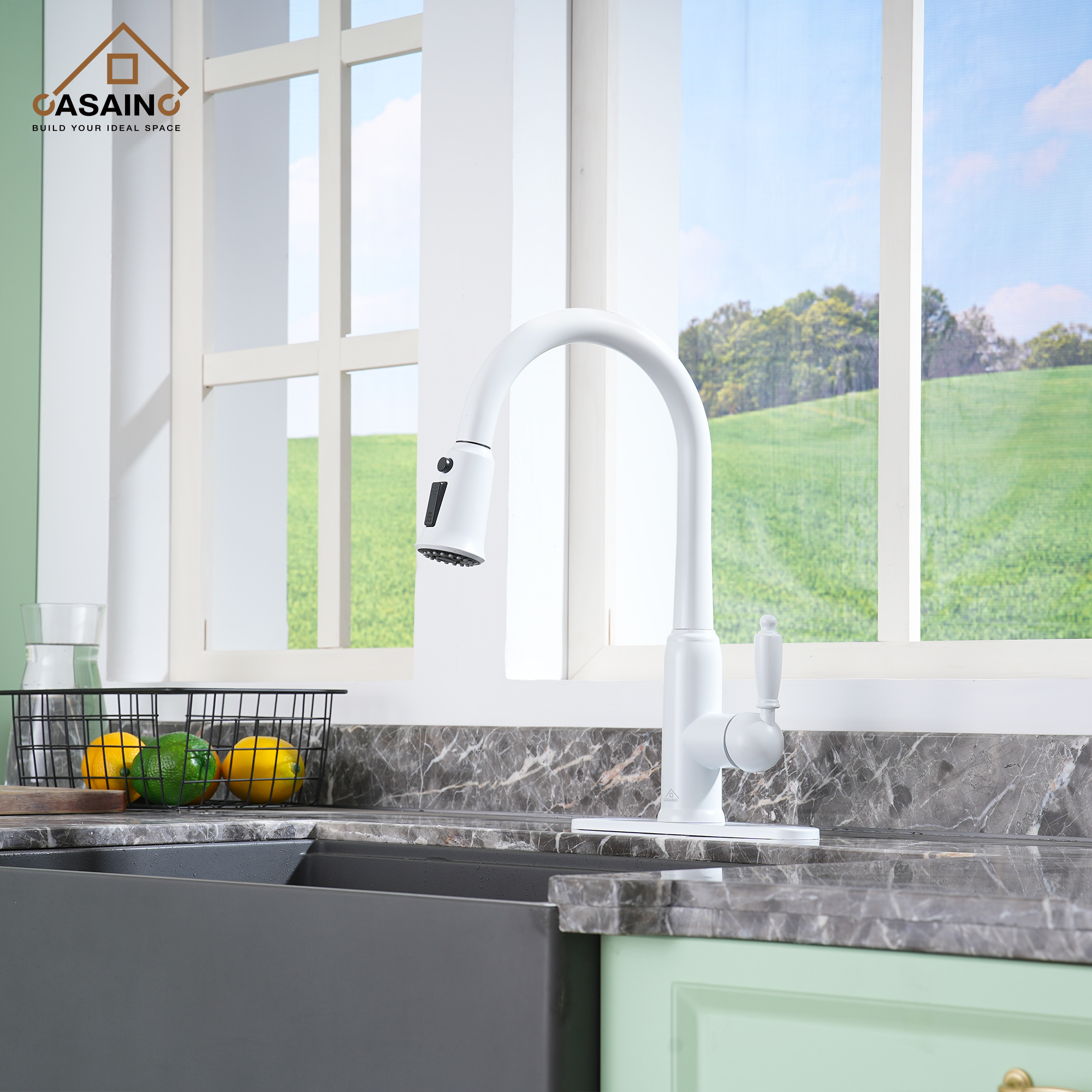 Casainc Single-Handle Kitchen Faucet with  Pull-Out Sprayer