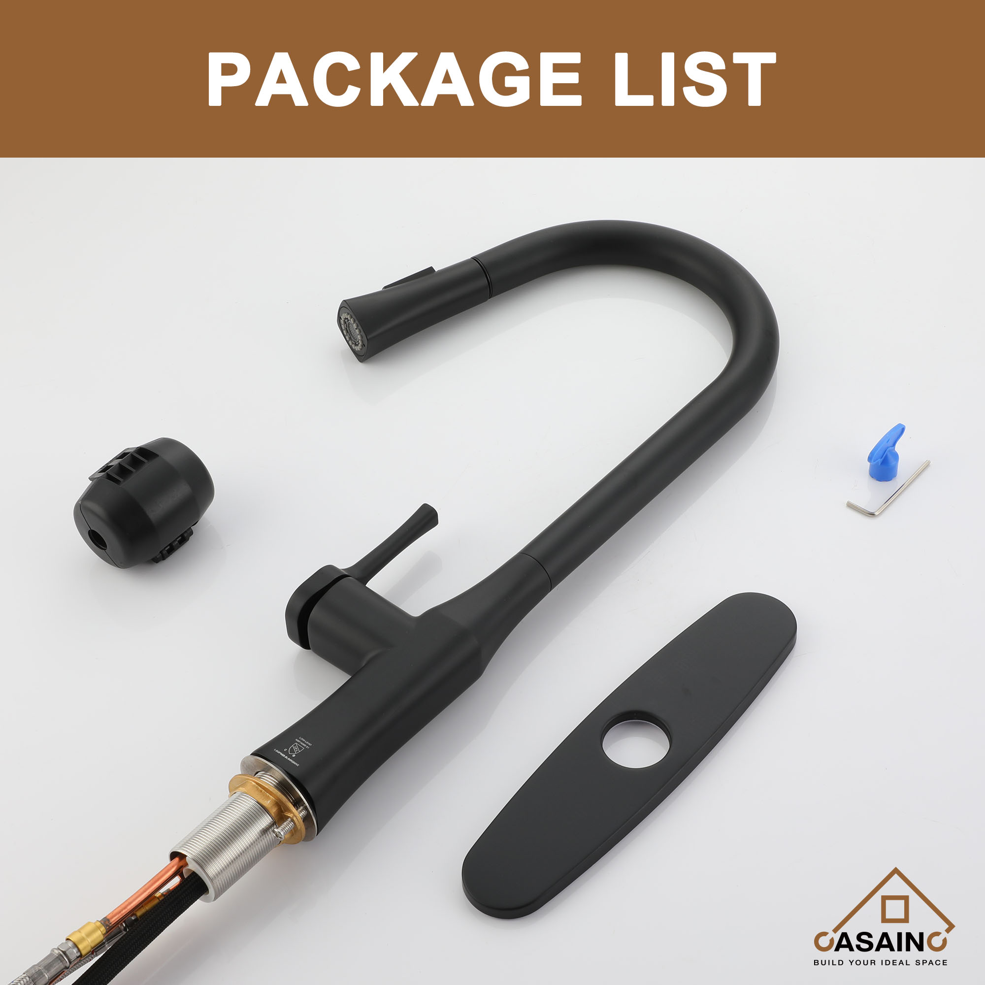 CASAINC Single-Handle Kitchen Faucet with  Pull-Down Sprayer