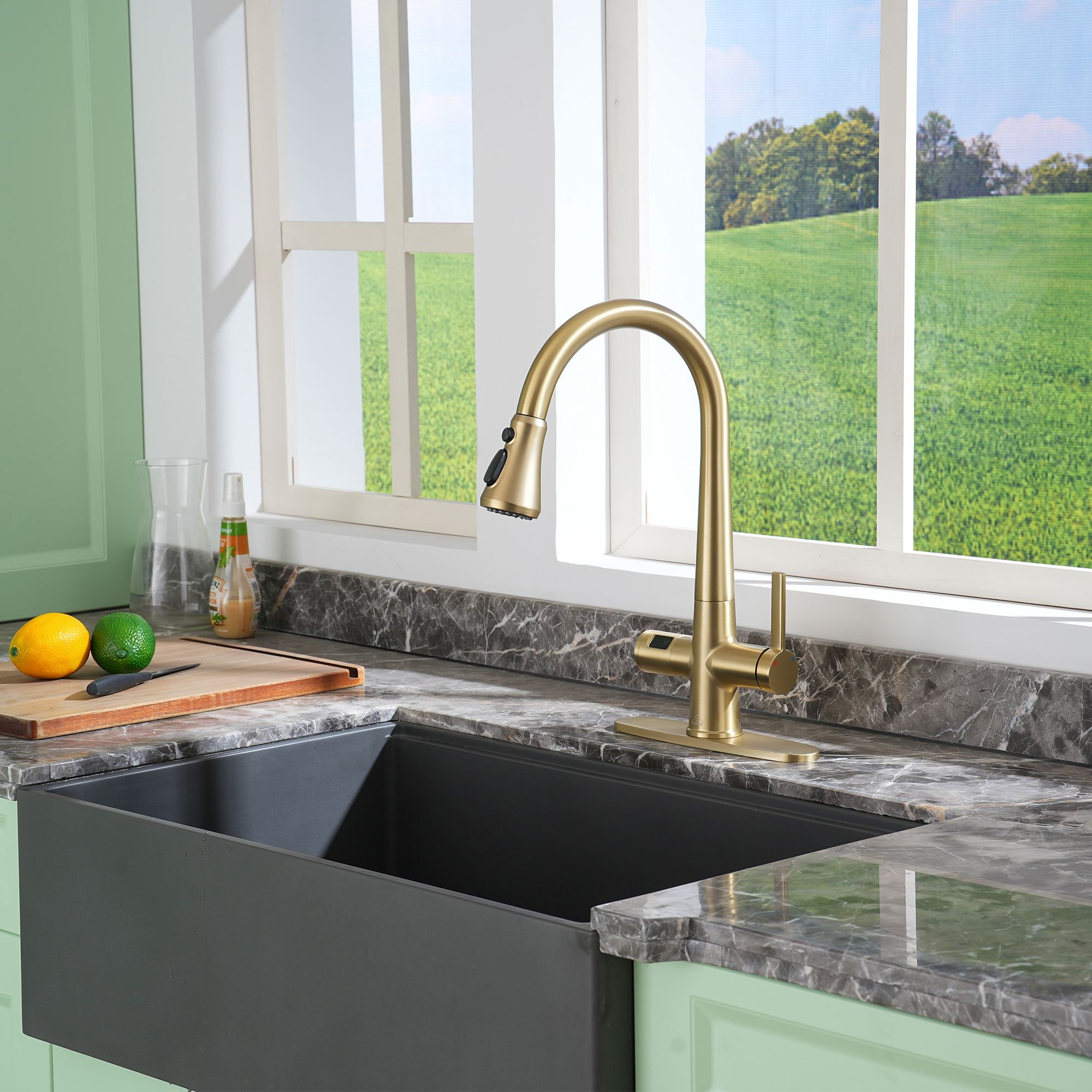 CASAINC Single-Handle Pull-Out Sprayer Kitchen Faucet with Digital Display