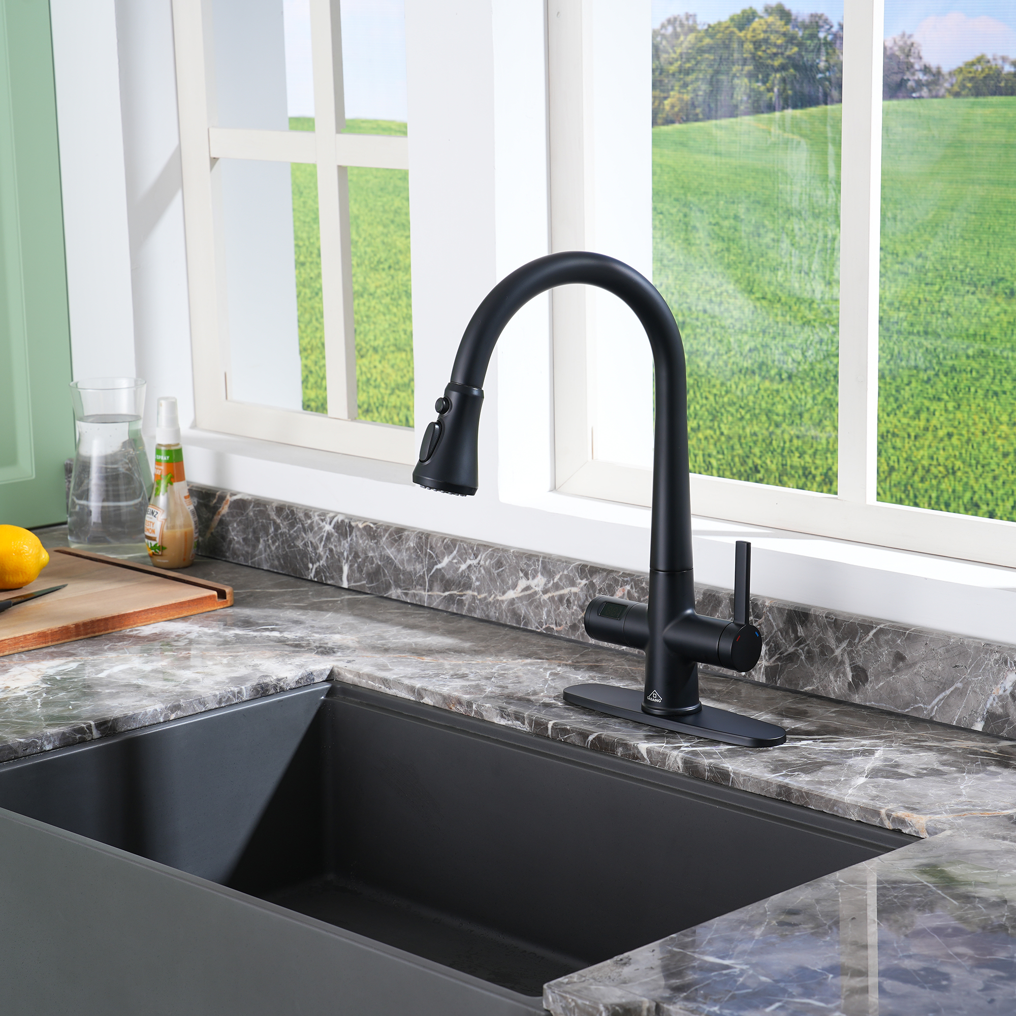 CASAINC Single-Handle Pull-Out Sprayer Kitchen Faucet with Digital Display
