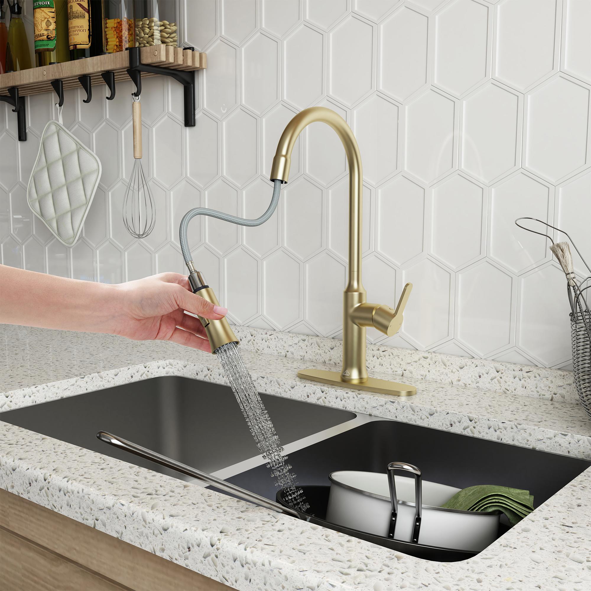 CASAINC Single-Handle Kitchen Faucet with  Pull-Out Sprayer