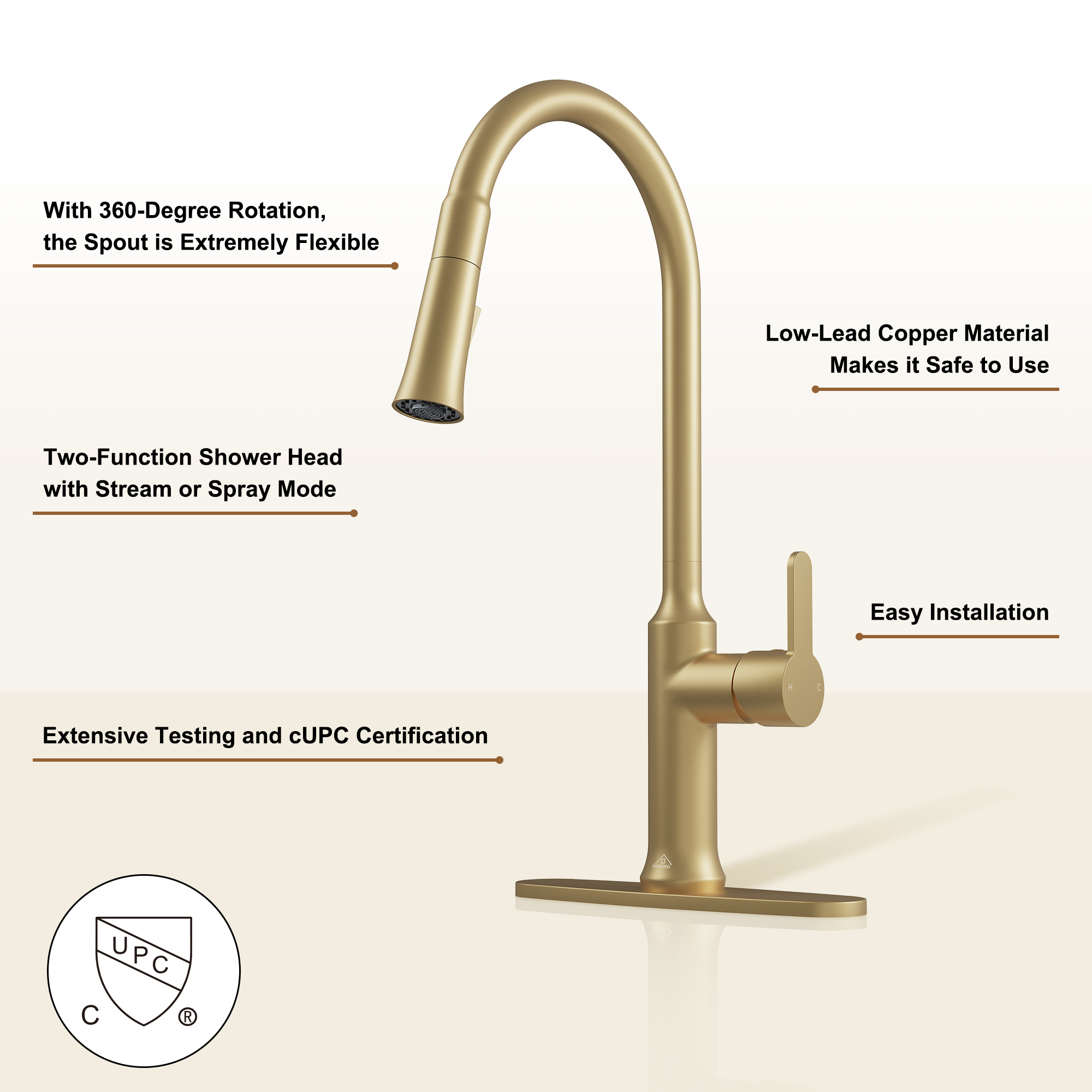 CASAINC Single-Handle Kitchen Faucet with  Pull-Out Sprayer