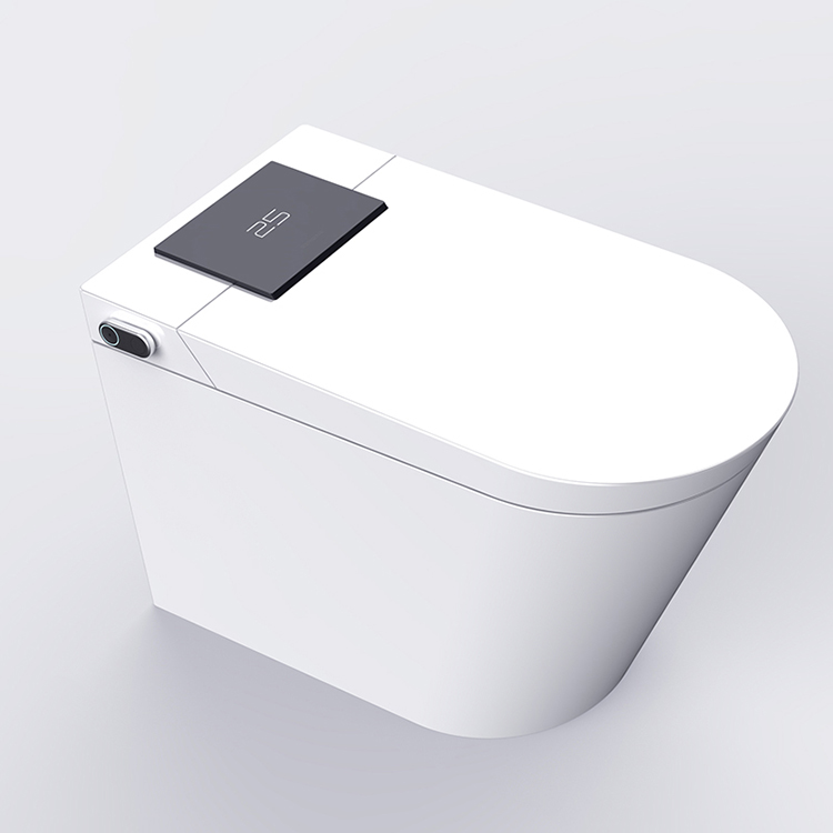 Luxury Smart Toilet with Auto Open Lid, Heated Seat & Bidet Wash, Z & G Series