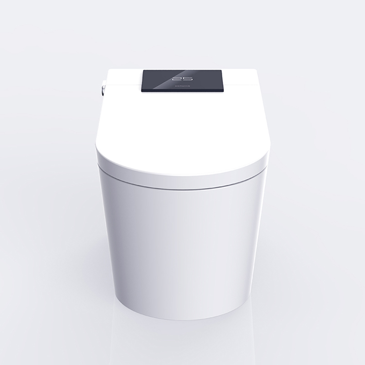 Luxury Smart Toilet with Auto Open Lid, Heated Seat & Bidet Wash, Z & G Series