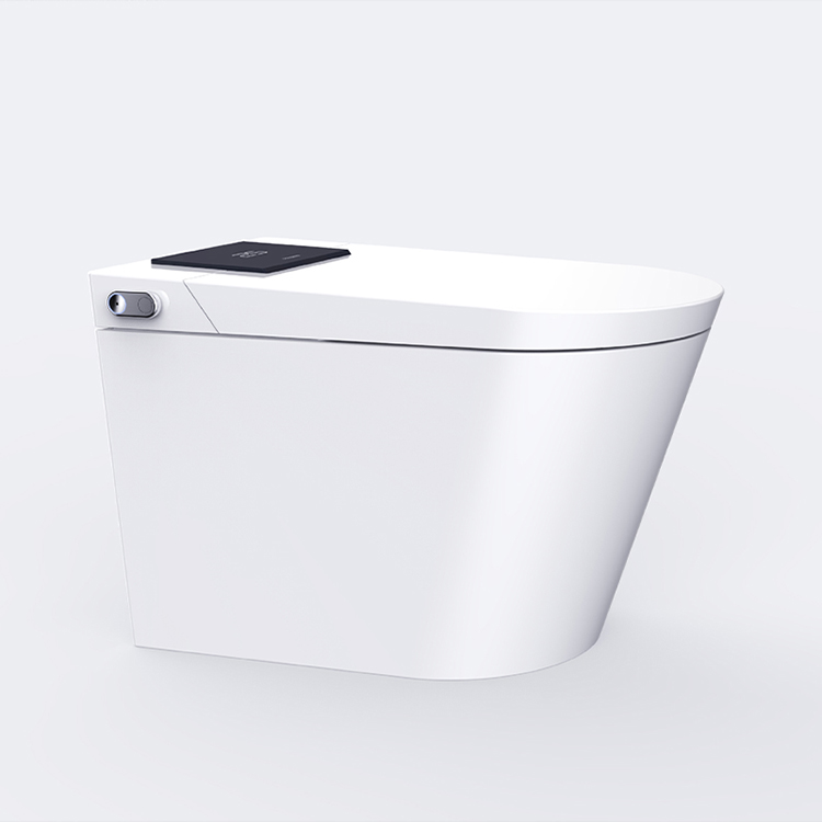 Luxury Smart Toilet with Auto Open Lid, Heated Seat & Bidet Wash, Z & G Series