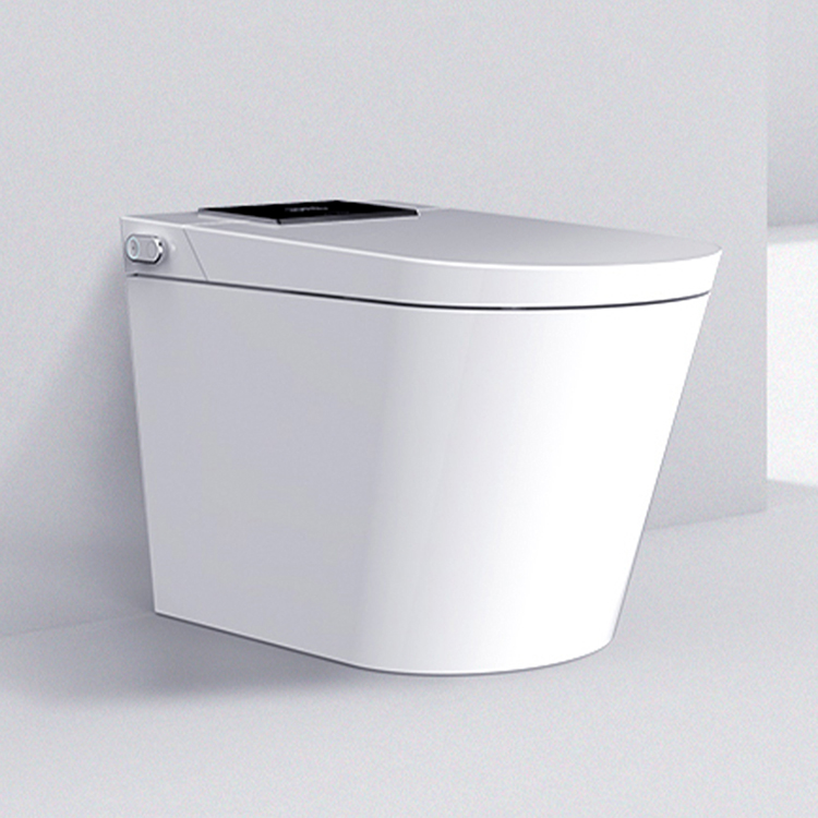 Luxury Smart Toilet with Auto Open Lid, Heated Seat & Bidet Wash, Z & G Series