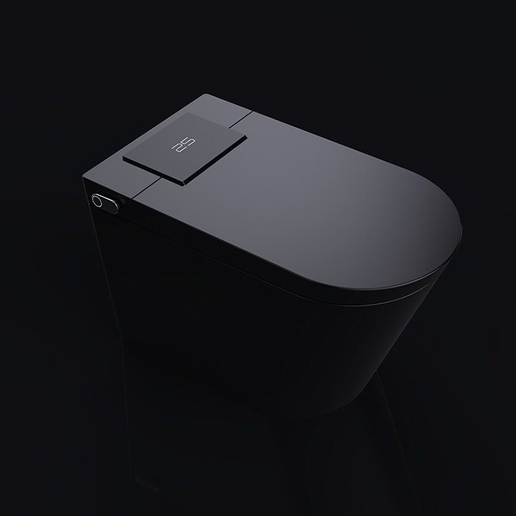 Luxury Smart Toilet with Auto Open Lid, Heated Seat & Bidet Wash, Z & G Series