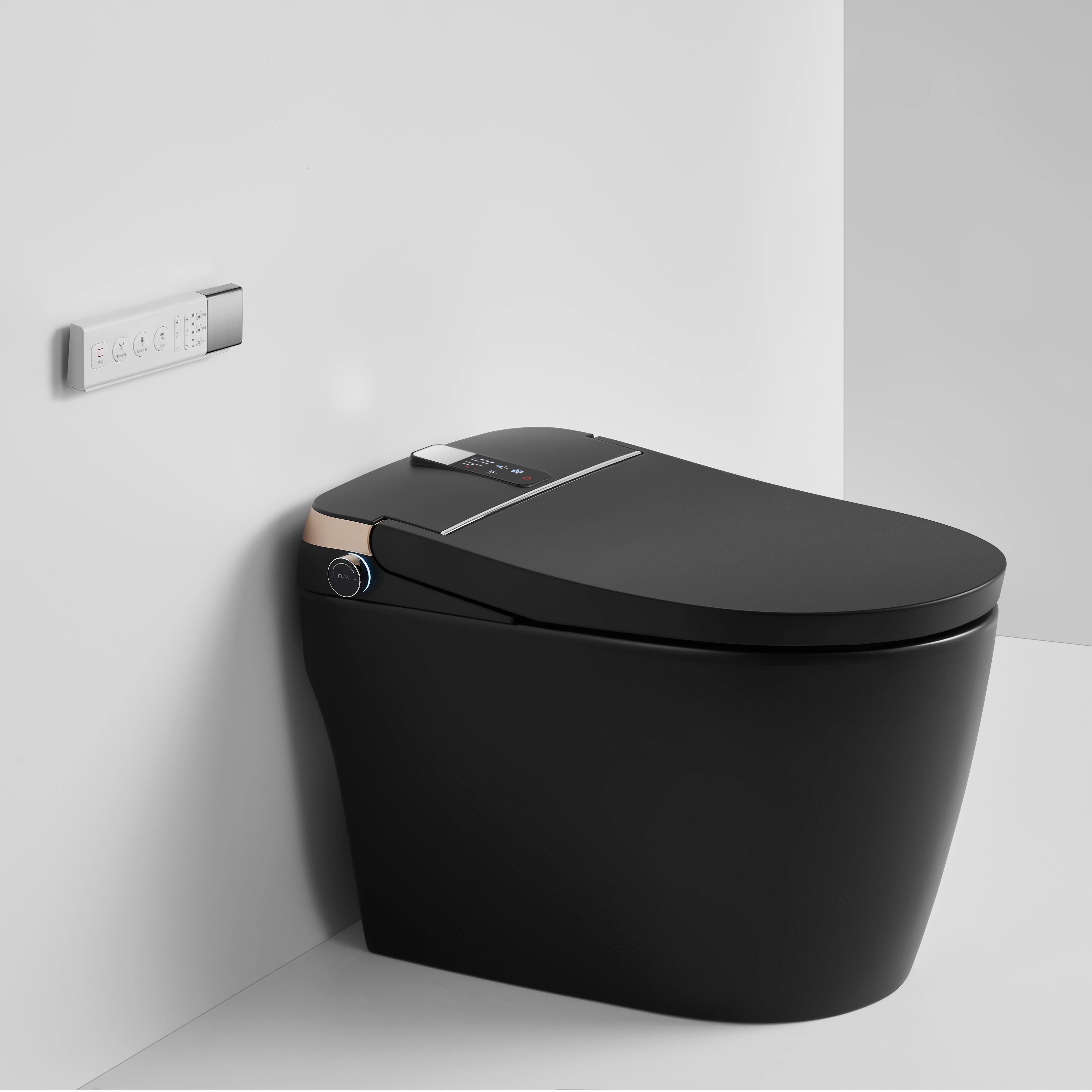 Luxe Smart Bidet Toilet with Built-in Deodorizer and LED Display, White, Black, or Grey