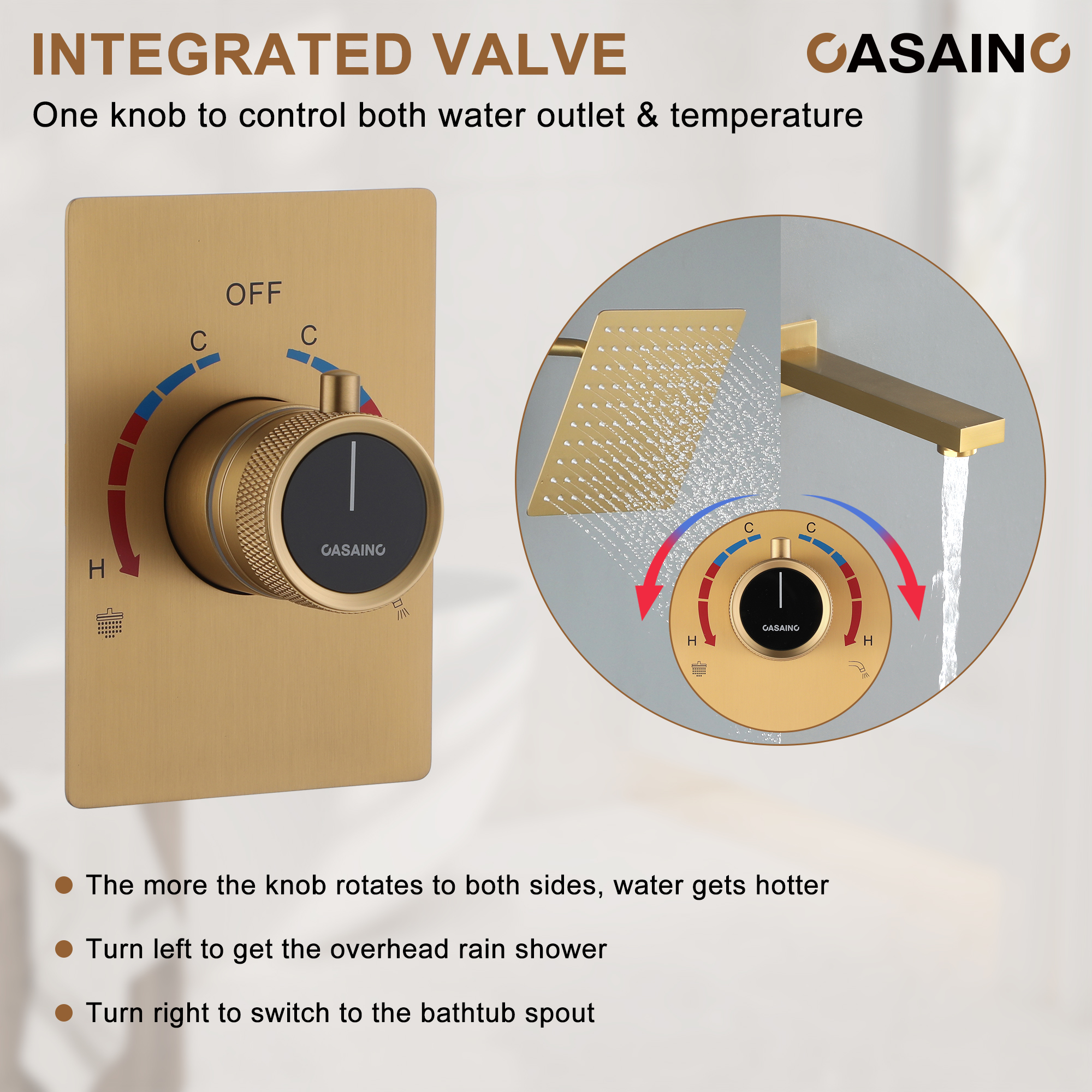 10" Wall Mount Dual Function Rain Shower System with Tub Spout