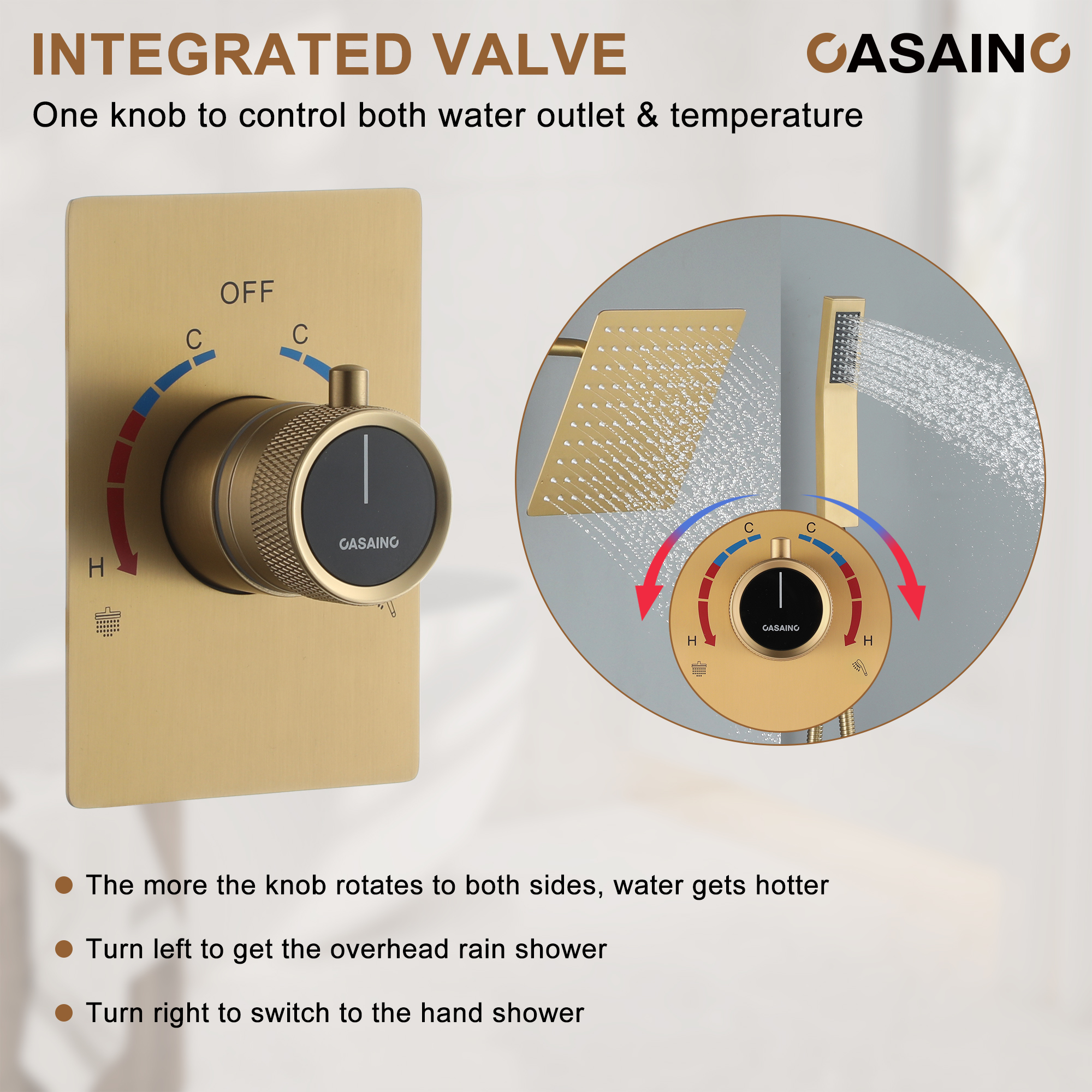 Thermostatic Dual Function Premium Showerhead Shower System