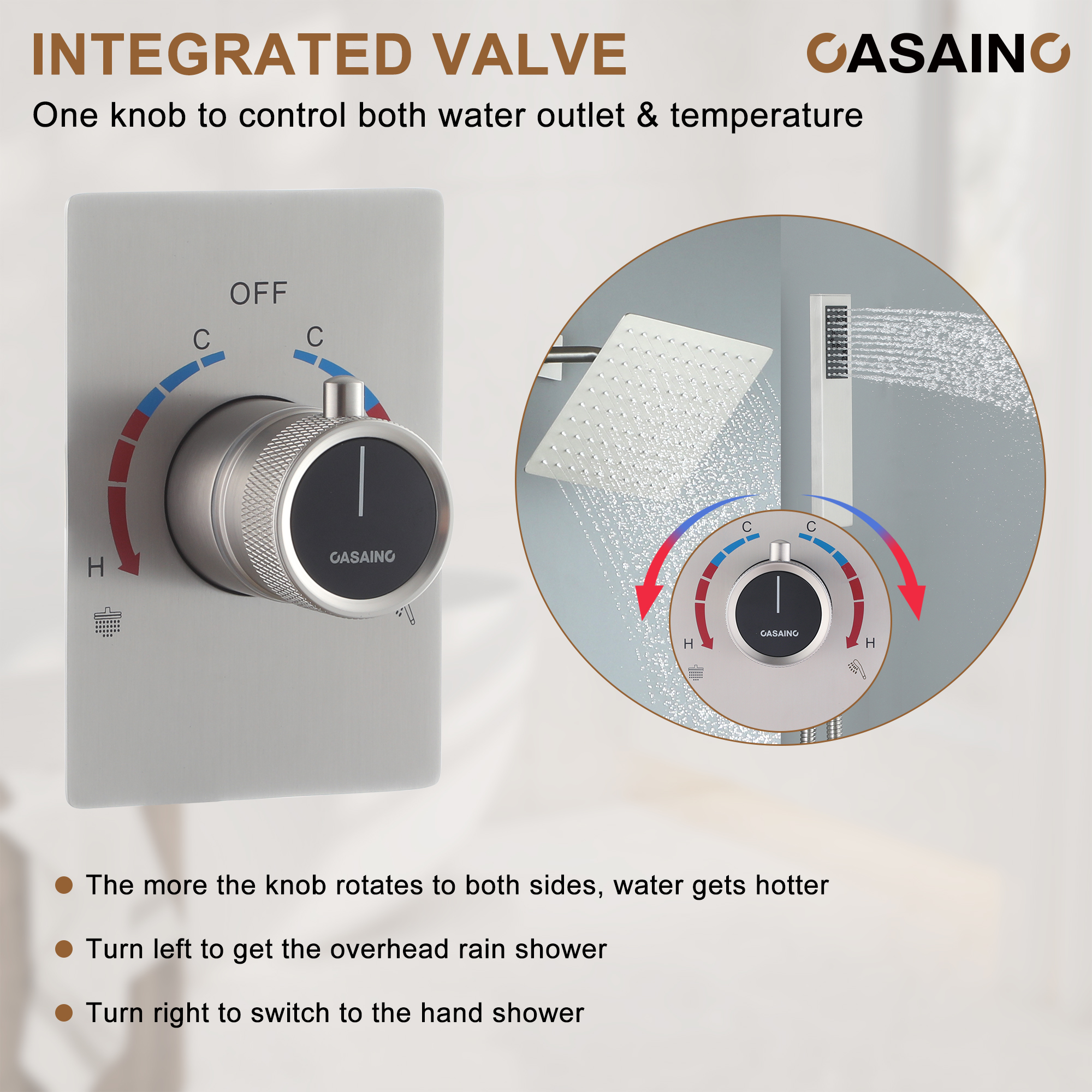 Dual Function Shower System With Unique Shower Arm